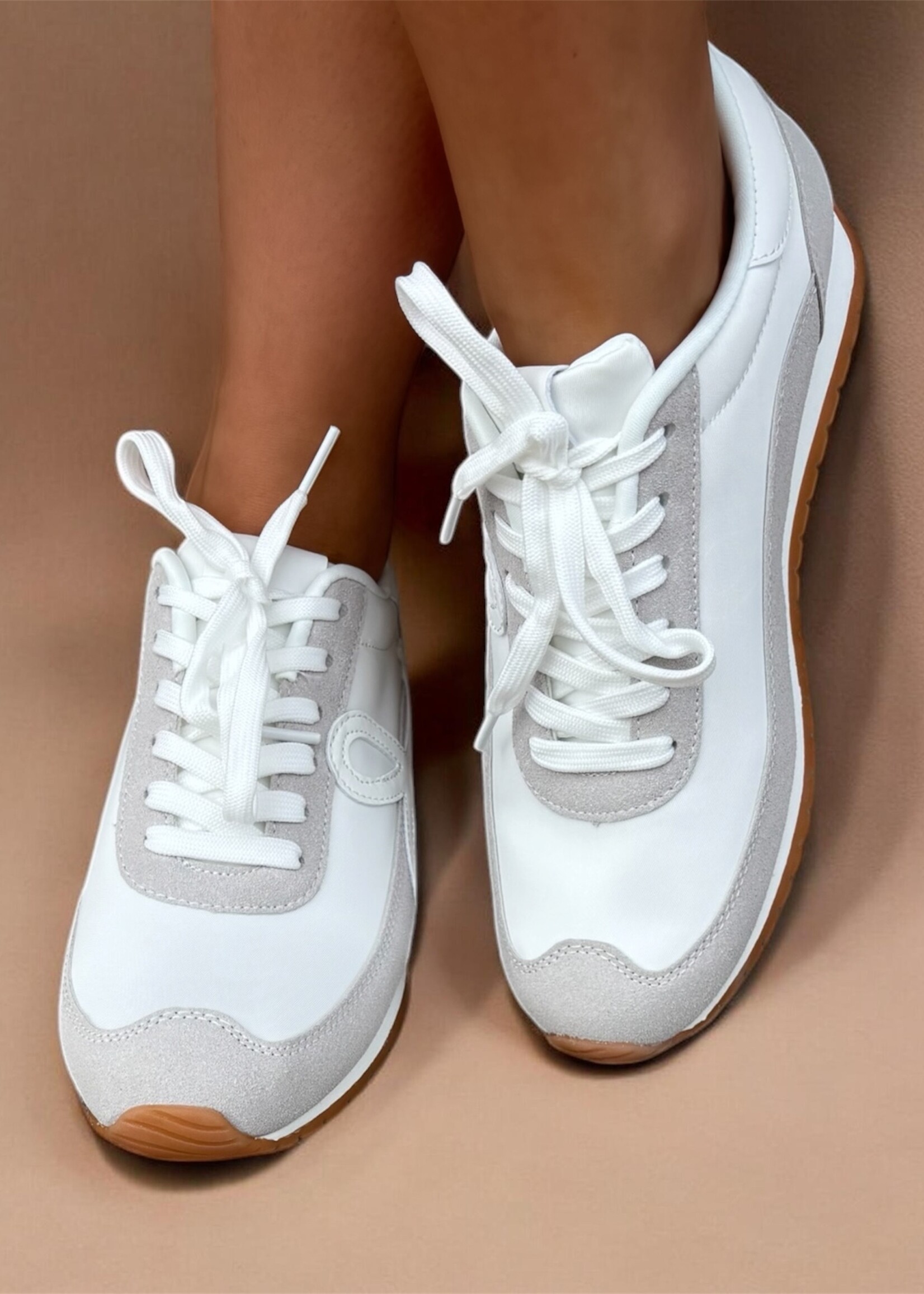 ccocci Low Top Lace Up Bow Sneaker