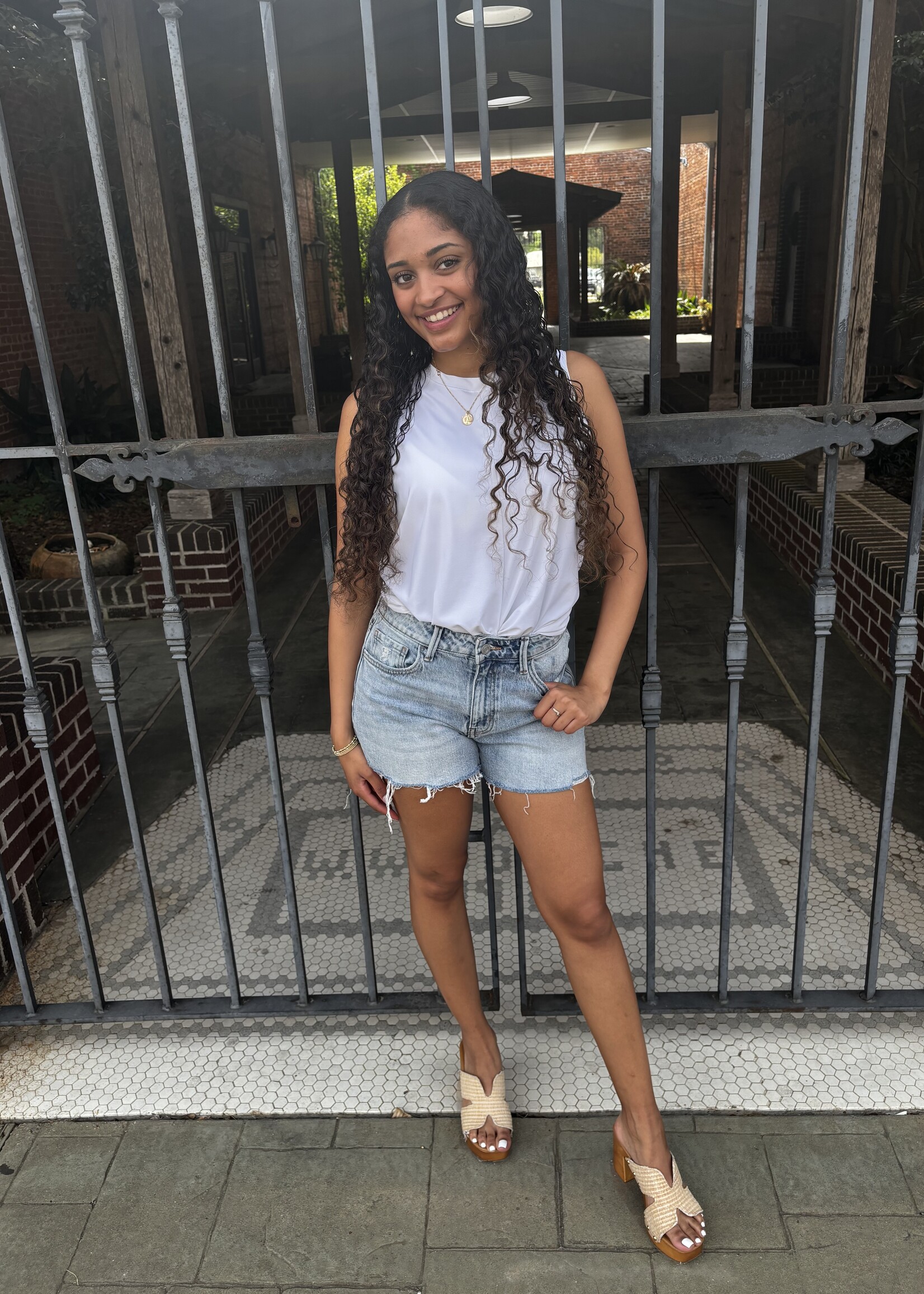 Vervet High Rise Distressed Denim Shorts