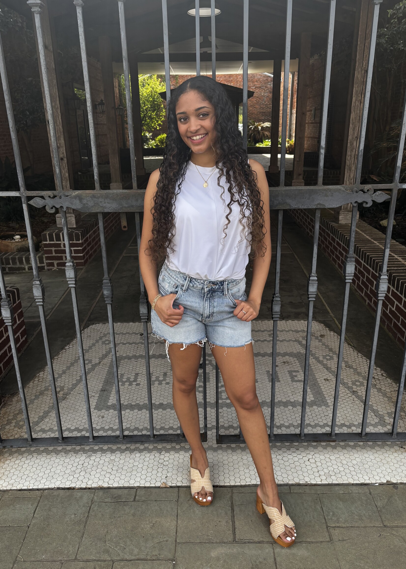 Vervet High Rise Distressed Denim Shorts