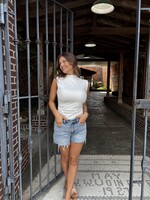 Vervet High Rise Distressed Denim Shorts