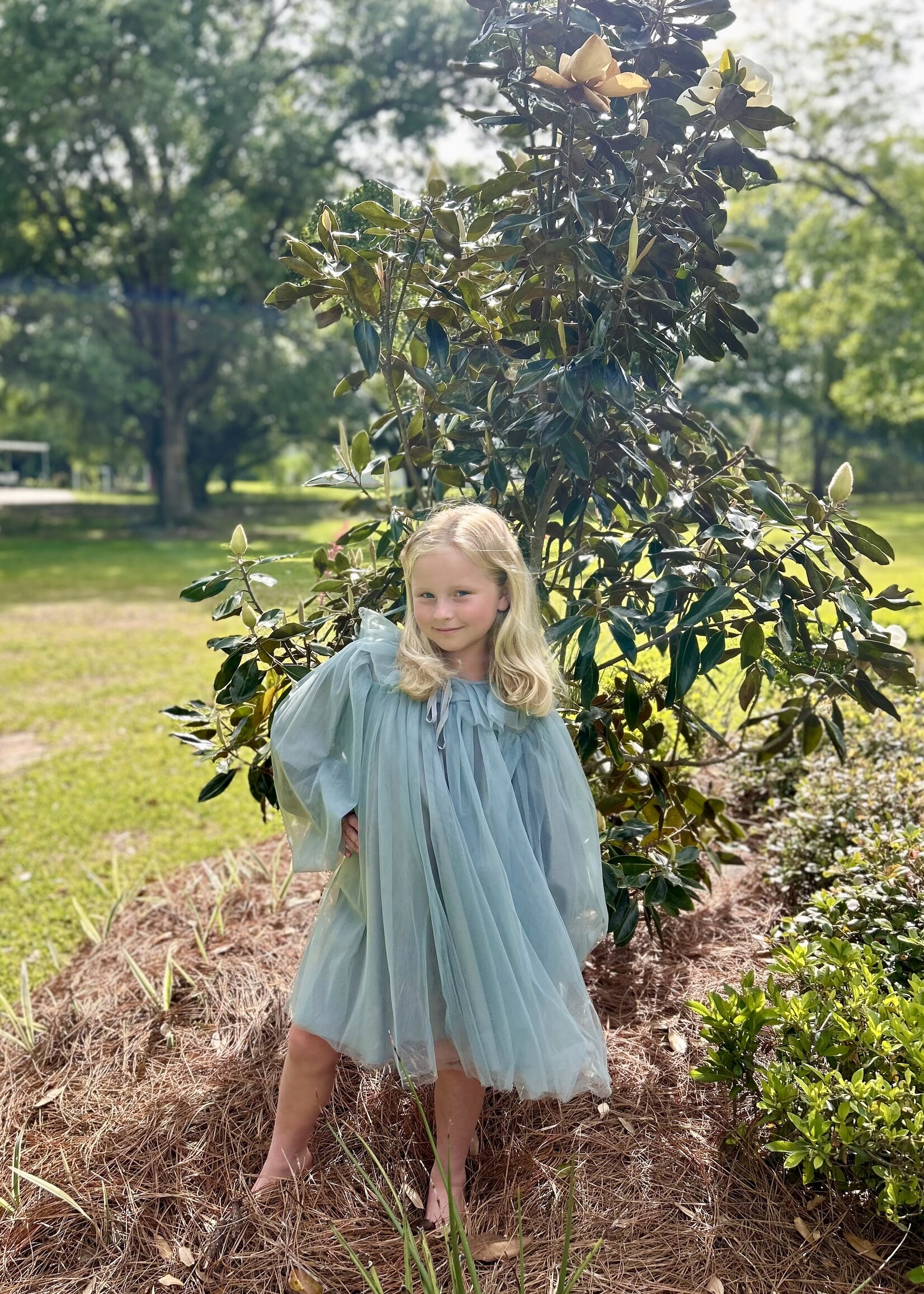 Rylee Faith Designs Blue & Green Puff Sleeve Tulle Girls Dress