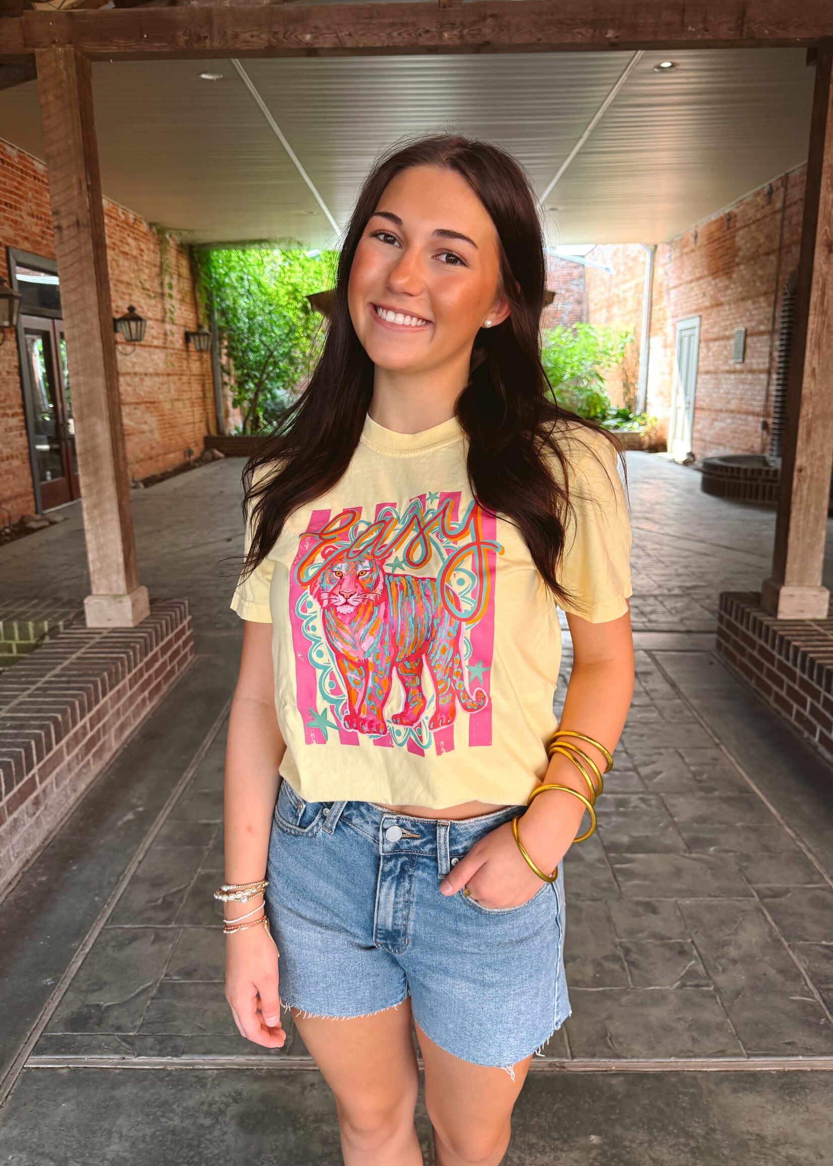 CCs Customs LLC Colorful Easy Tiger Shirt