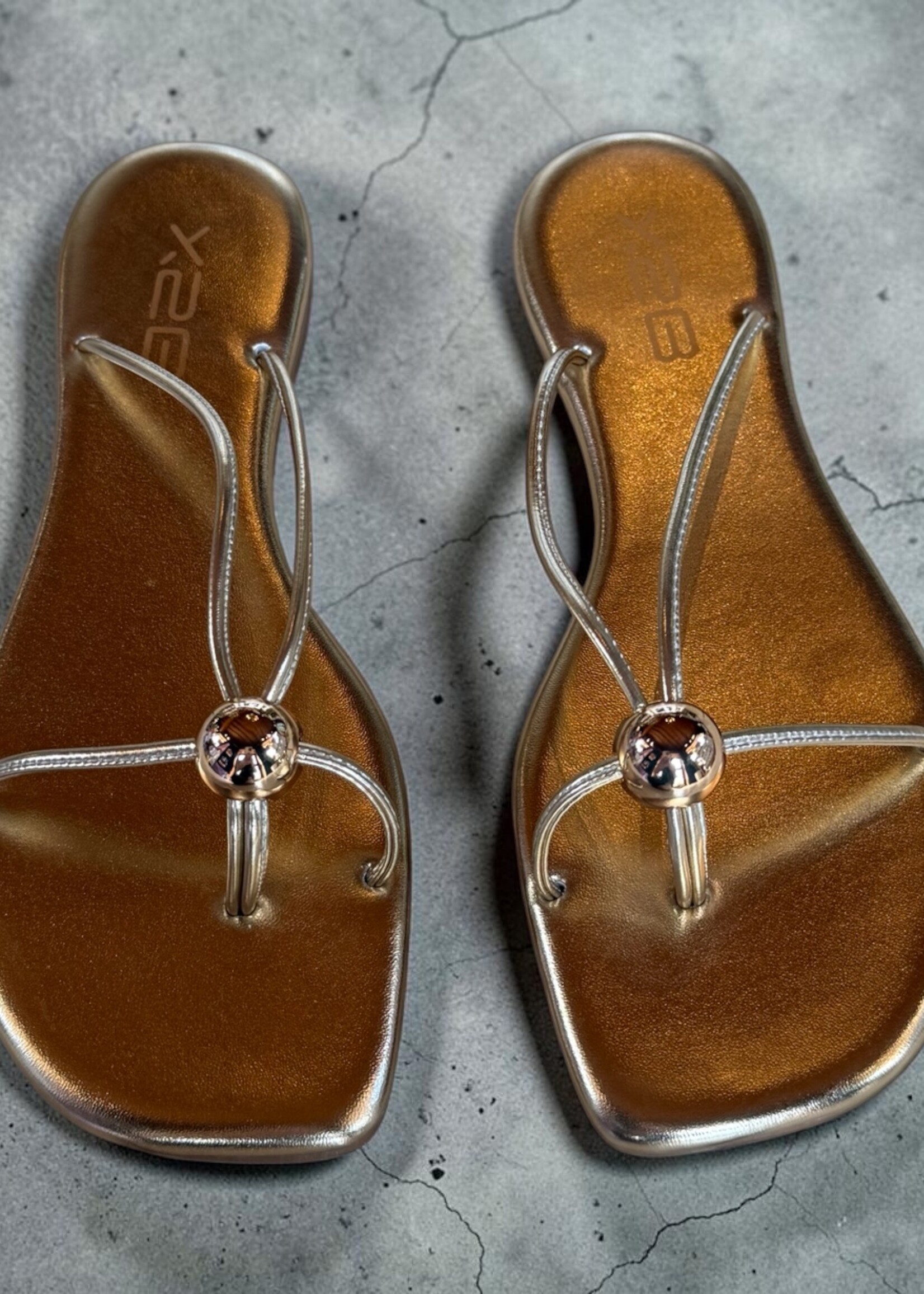 ccocci Gold Thin T-Strap Square Sandal