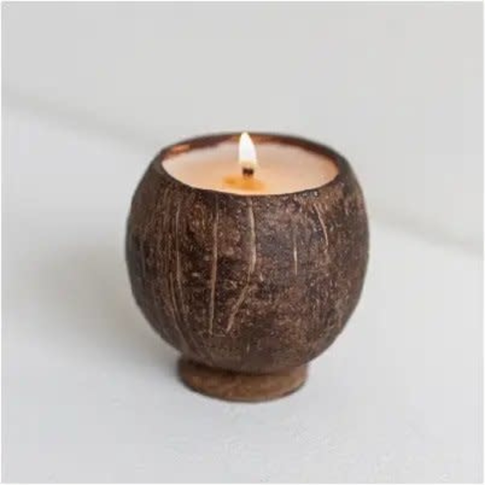 Backyard Candles - Cotton Wick Coconut Cup Candle - 10oz