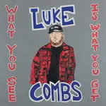 Combs, Luke - What You See Is What You Get (nm) near mint
