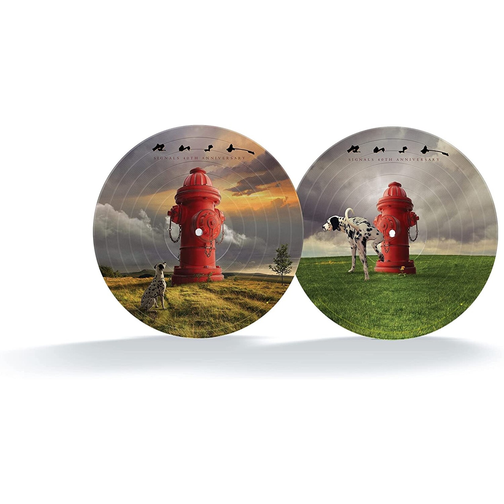 Rush - Signals 40th Anniversary (Picture Disc)