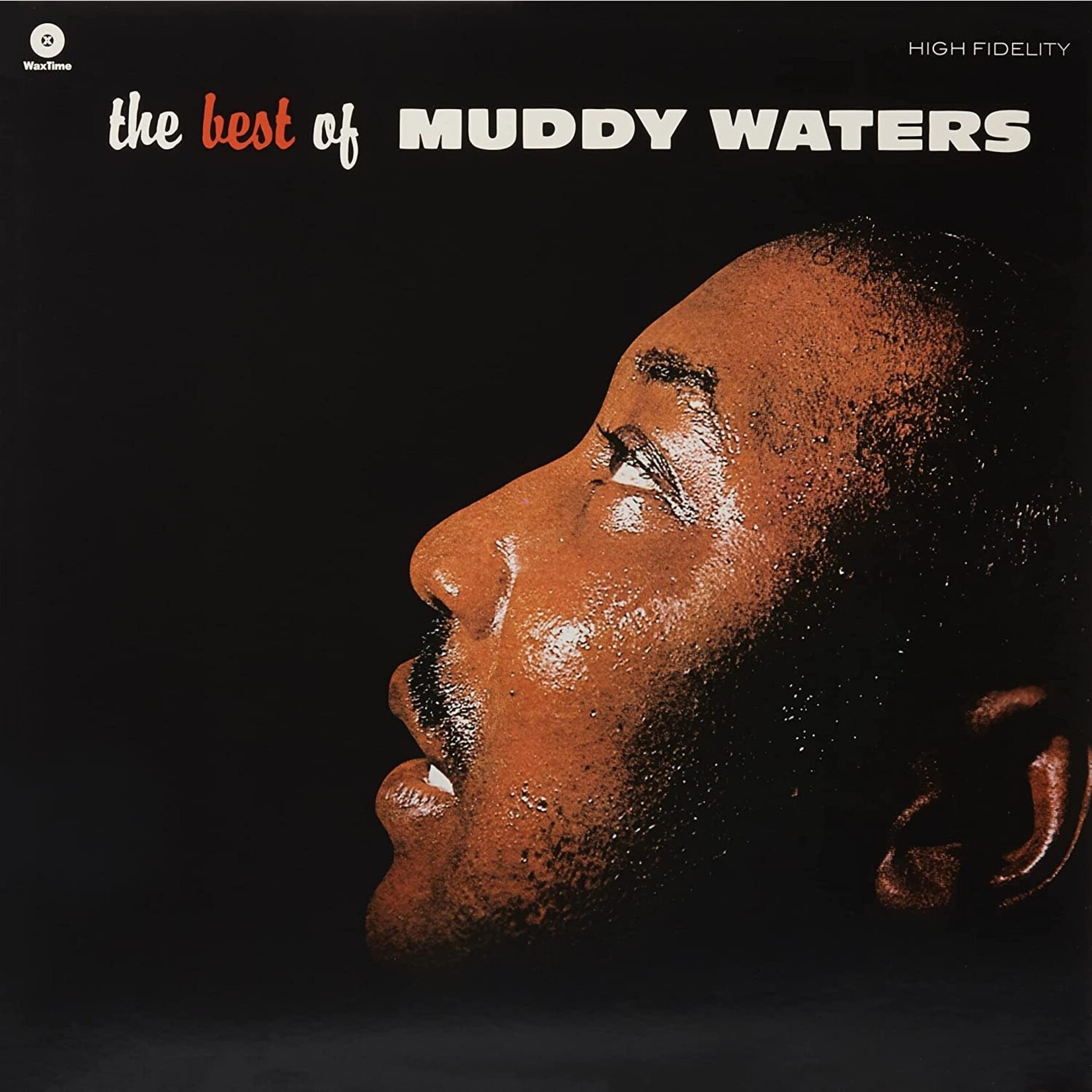 Muddy Waters - The Best of Muddy Waters