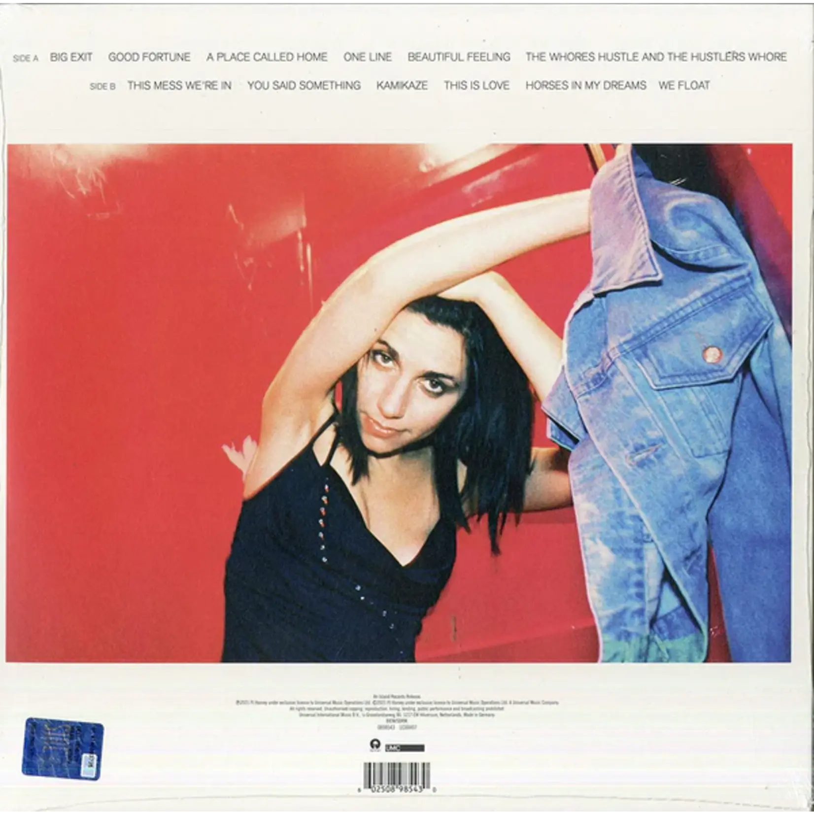 PJ Harvey - Stories From The City, Stories From The Sea (Demos)