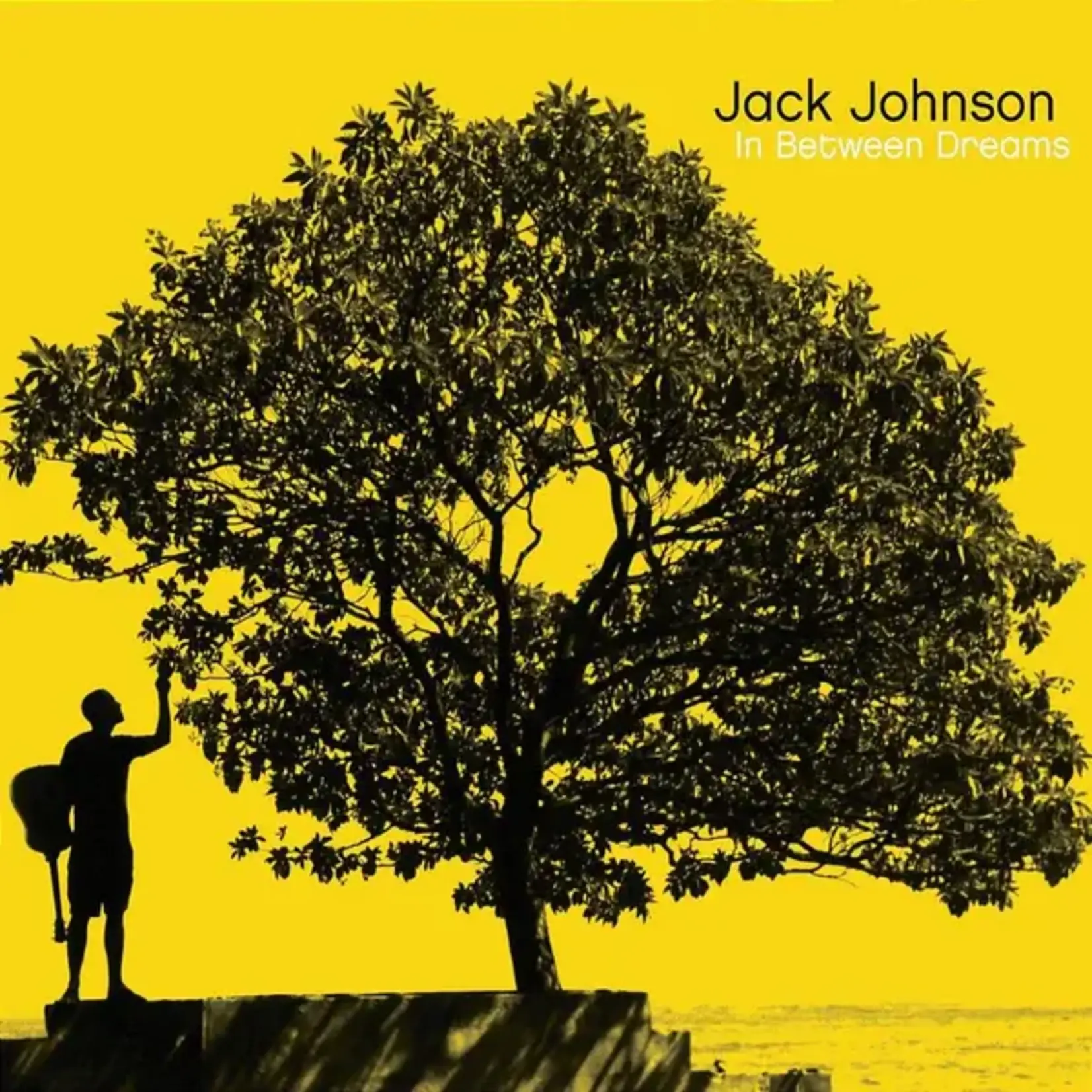 Jack Johnson - In Between Dreams