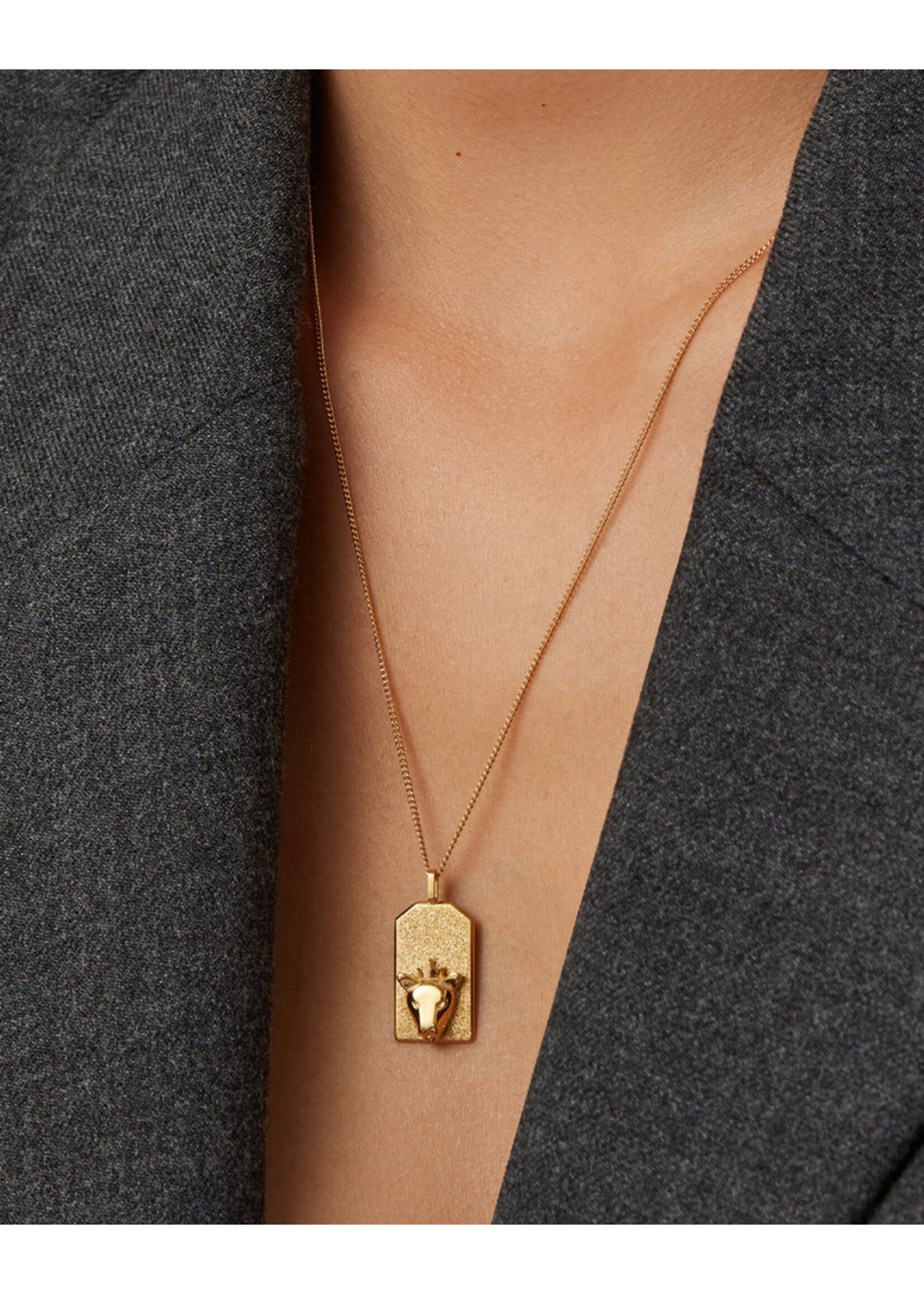 Jenny Bird Zodiac Pendant Necklace (Leo) - Gold