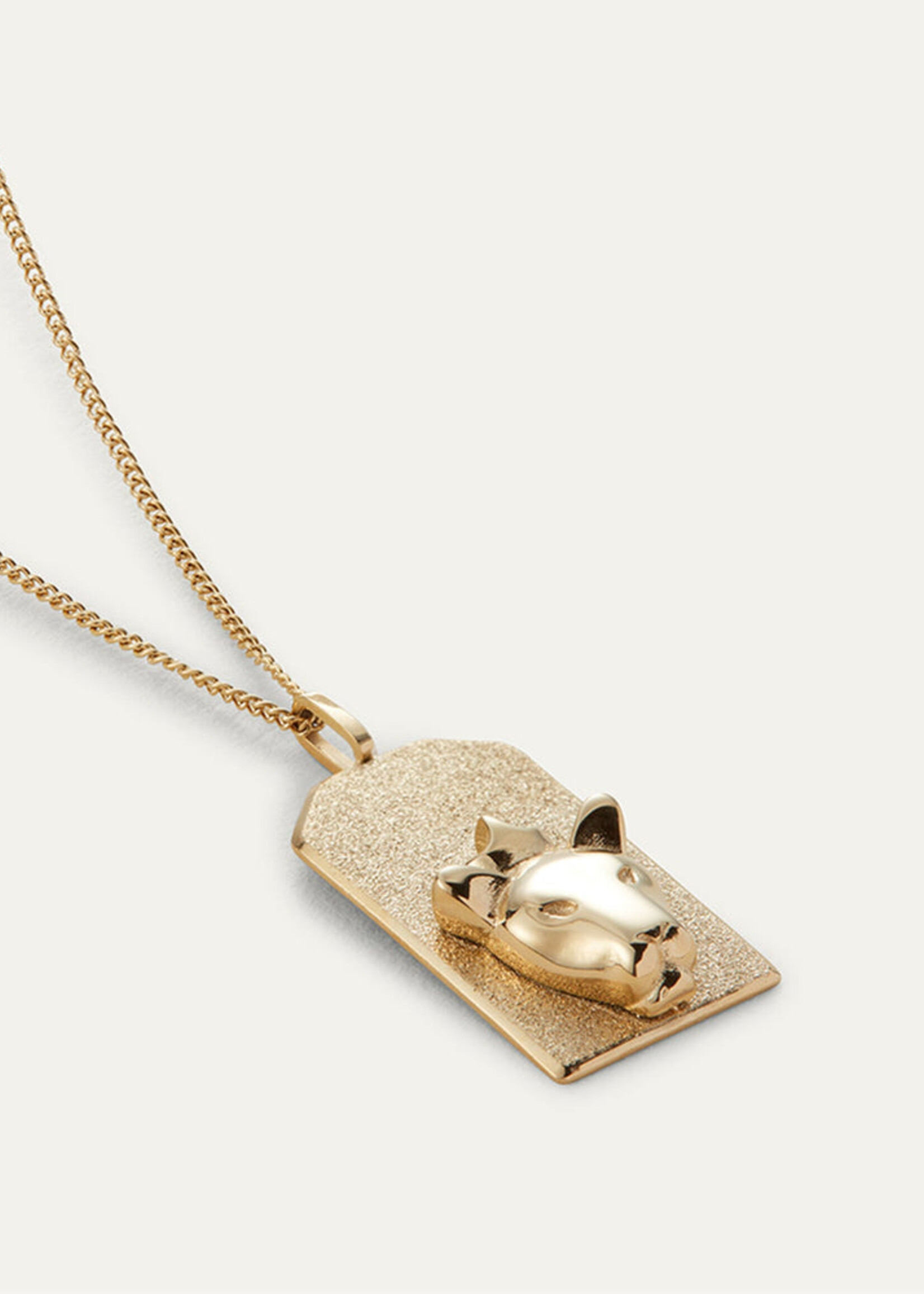 Jenny Bird Zodiac Pendant Necklace (Leo) - Gold