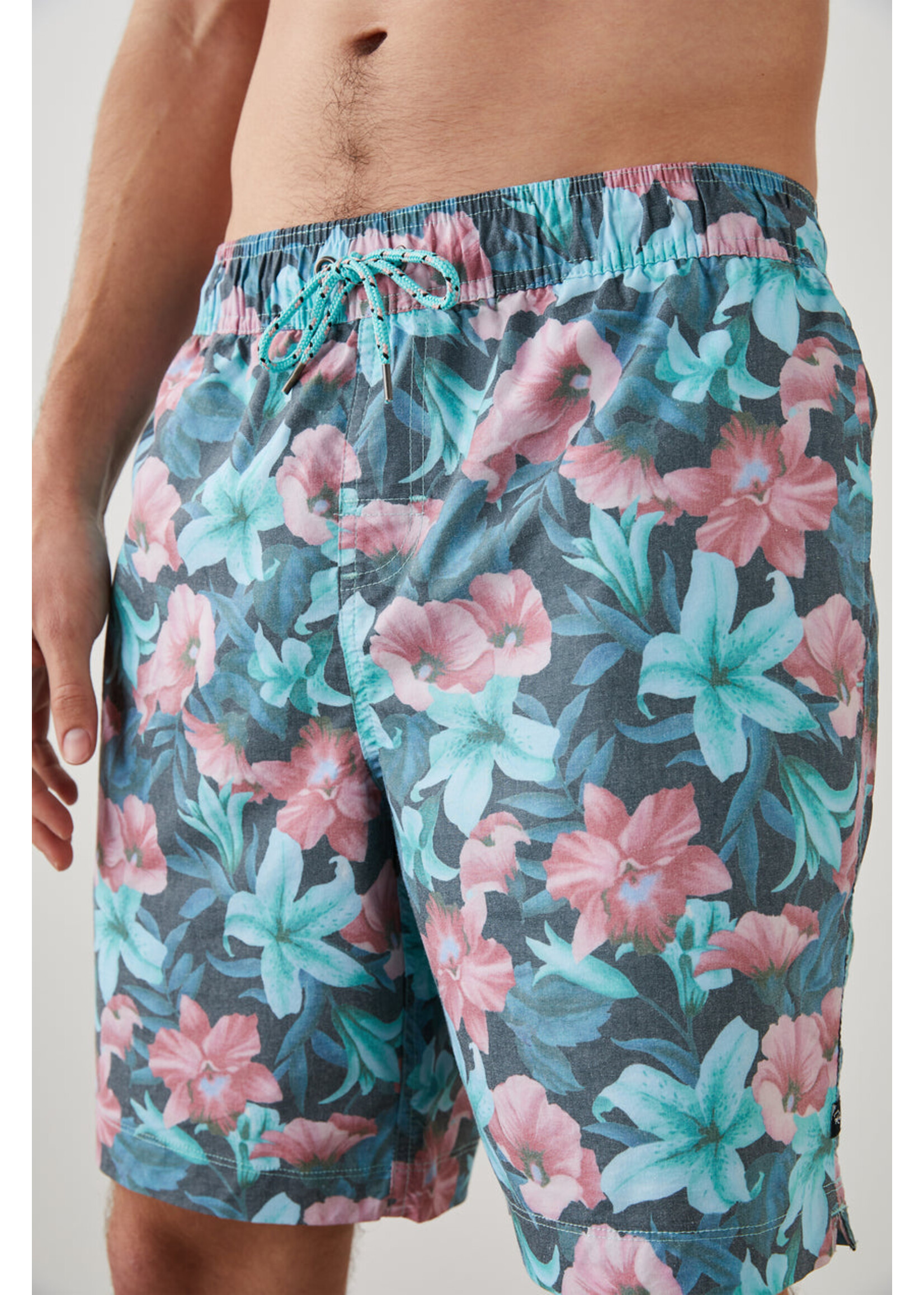 Rails Rails Kian Swim Shorts - Tropicali Shadow