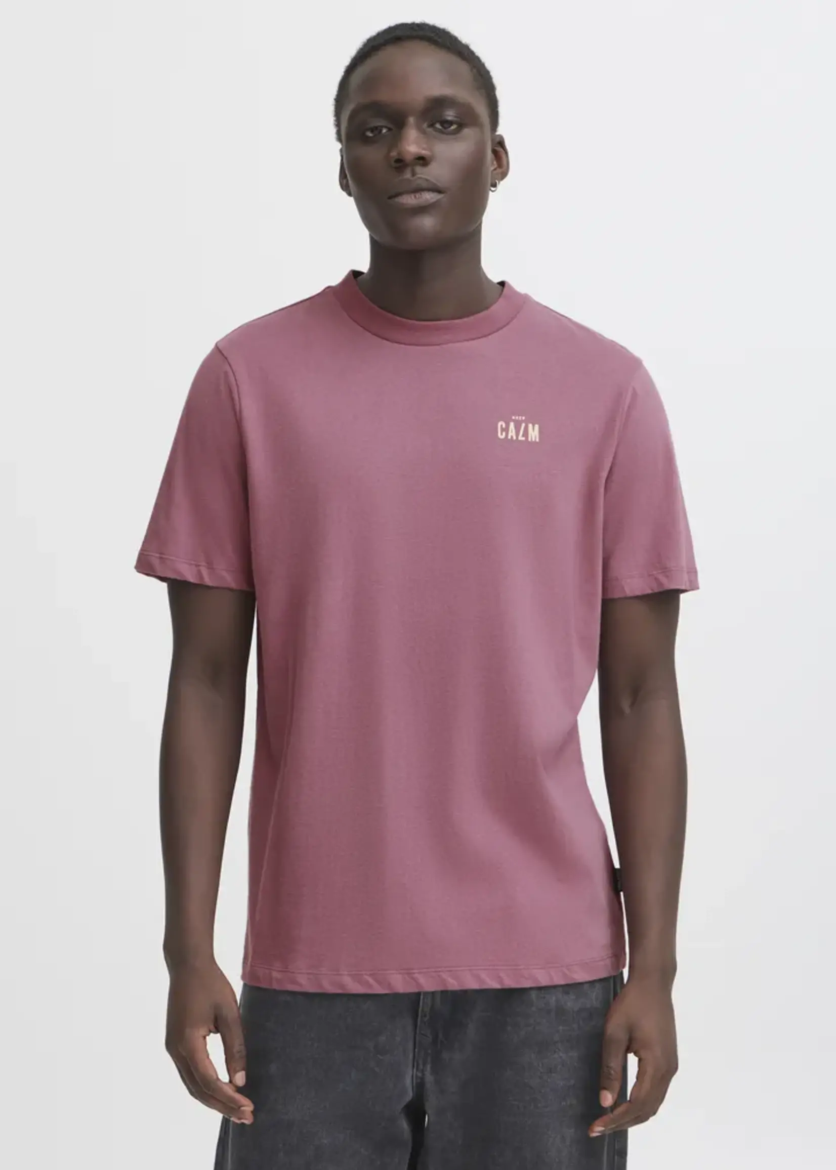 Blend Blend T-Shirt Joel - Tulipwood