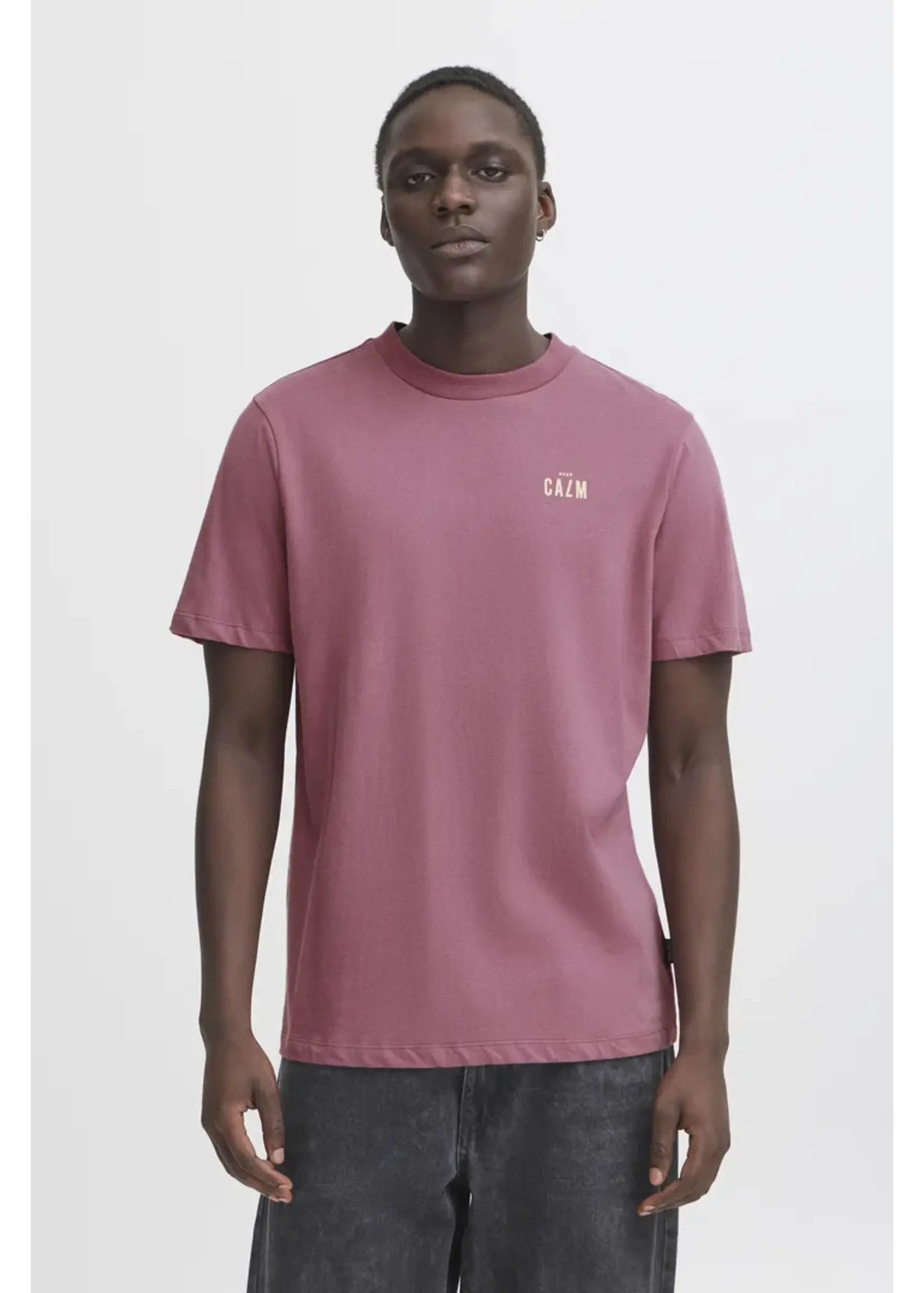 Blend Blend Joel T-Shirt - Tulipwood