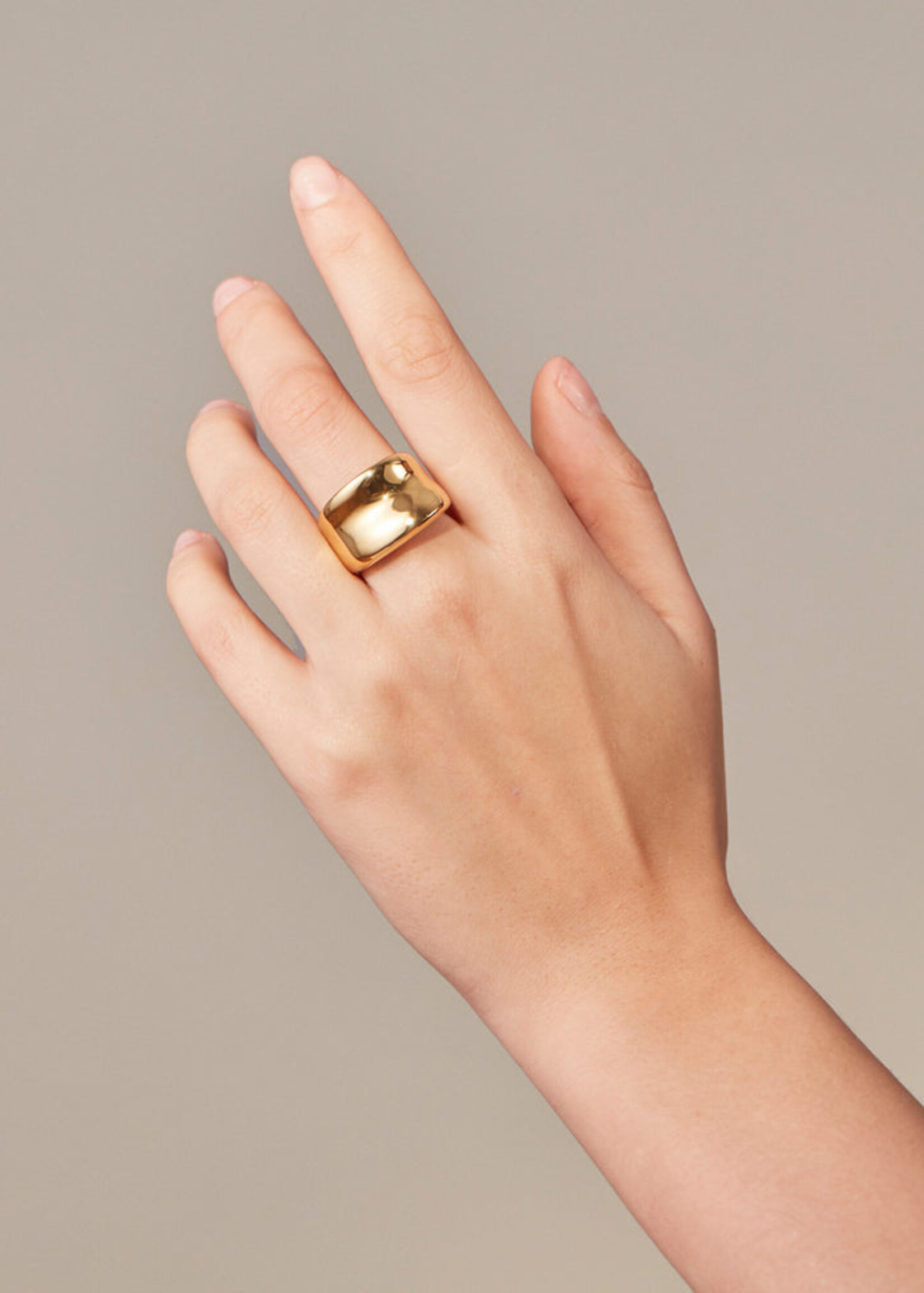 Jenny Bird Viviana Ring - Gold
