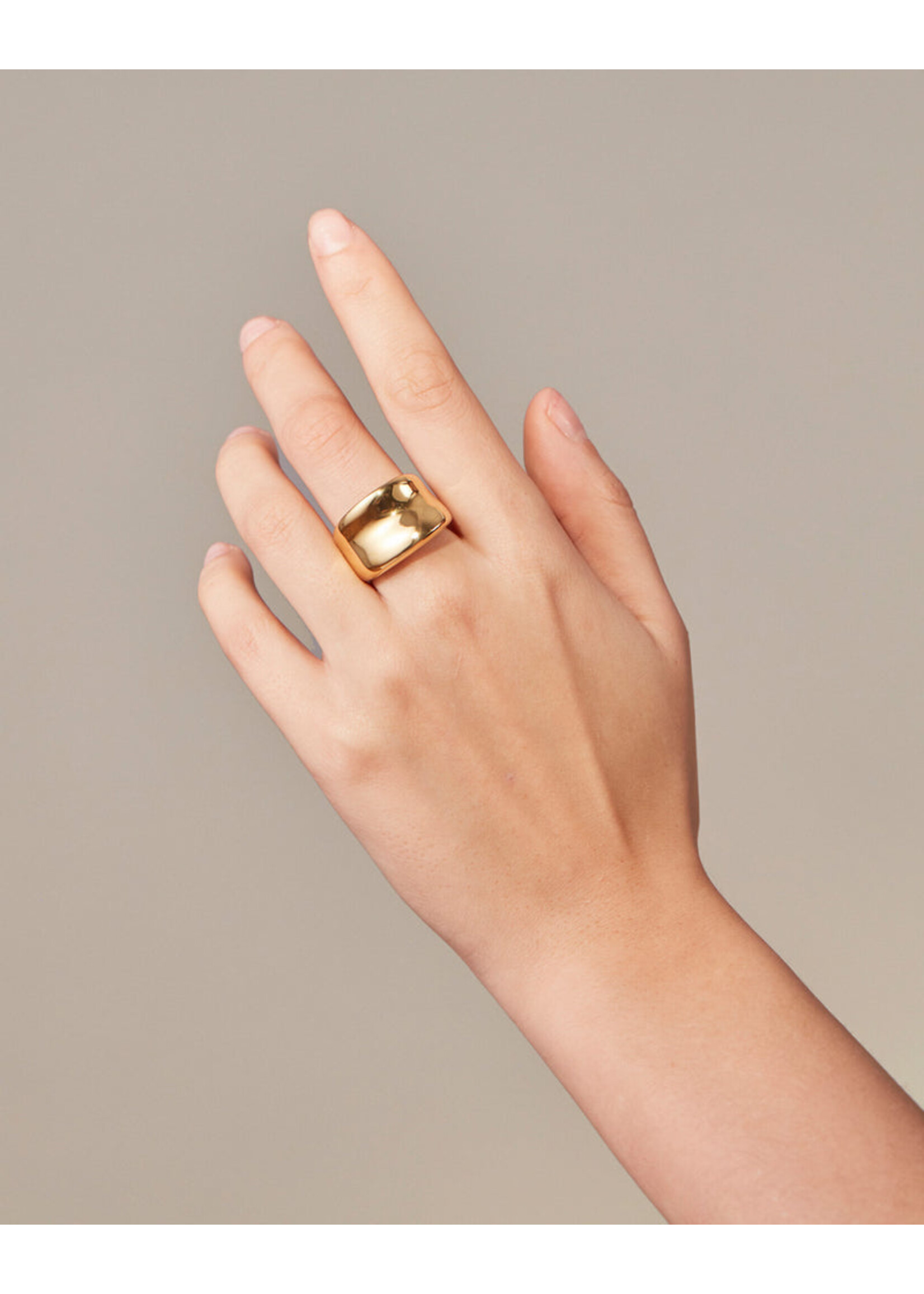 Jenny Bird Viviana Ring - Gold