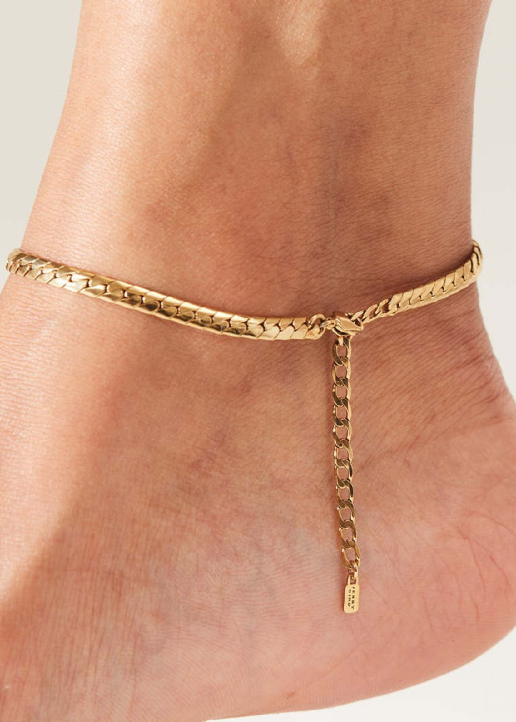 Jenny Bird Priya Anklet - Gold