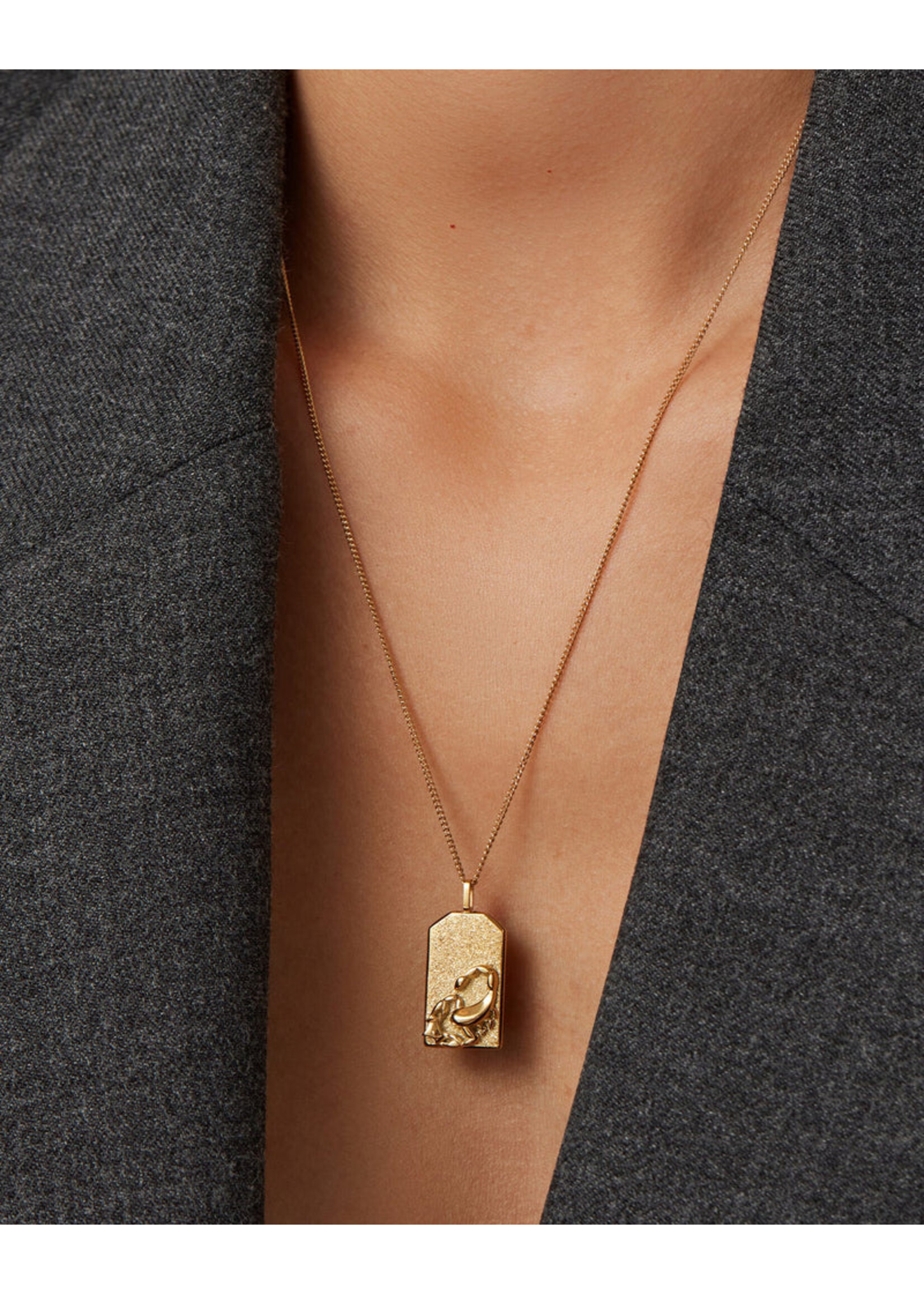 Jenny Bird Collier Pendentif Zodiaque (Scorpion) - Or