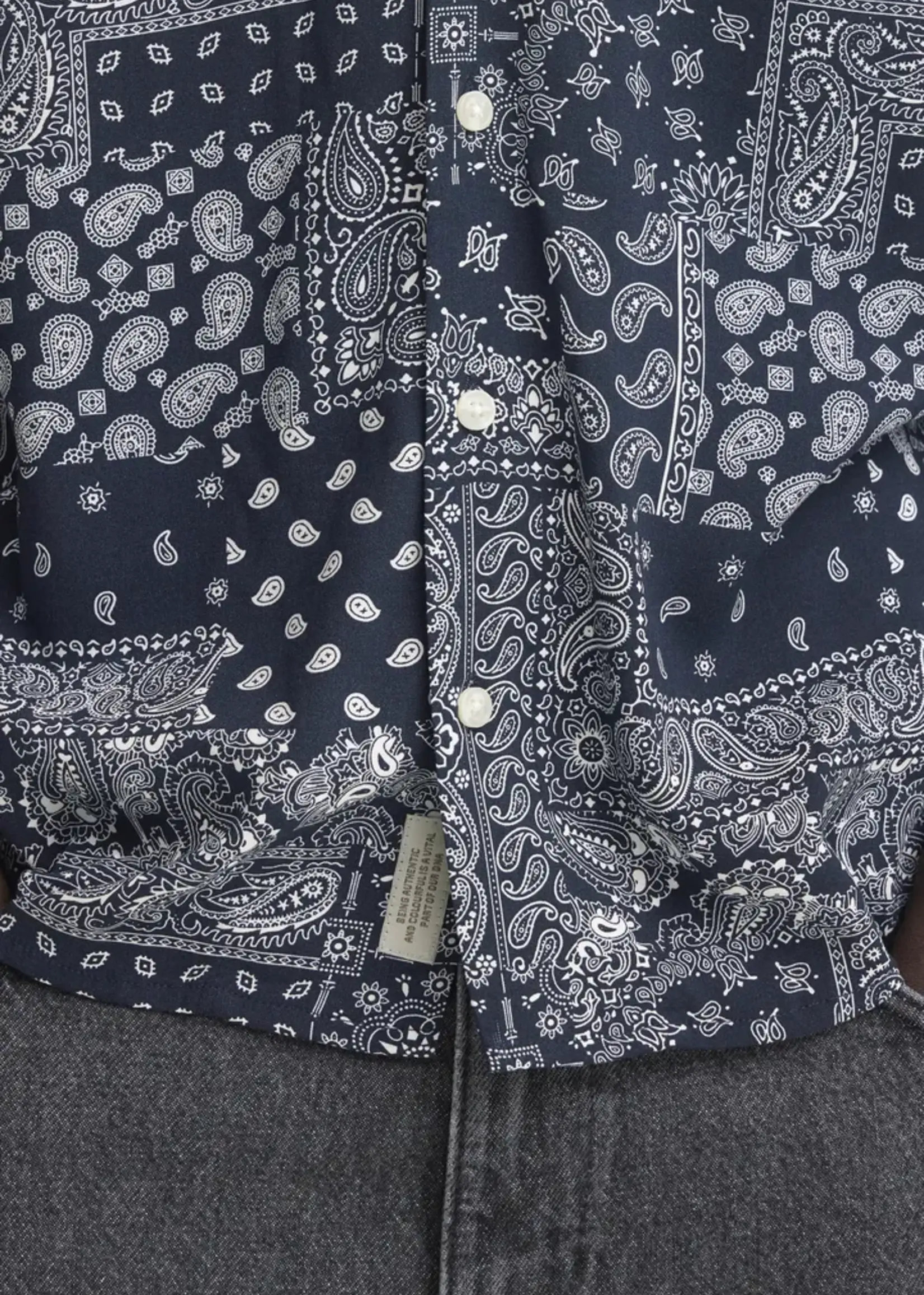 Blend Blend Aslak Shirt Print - Salute