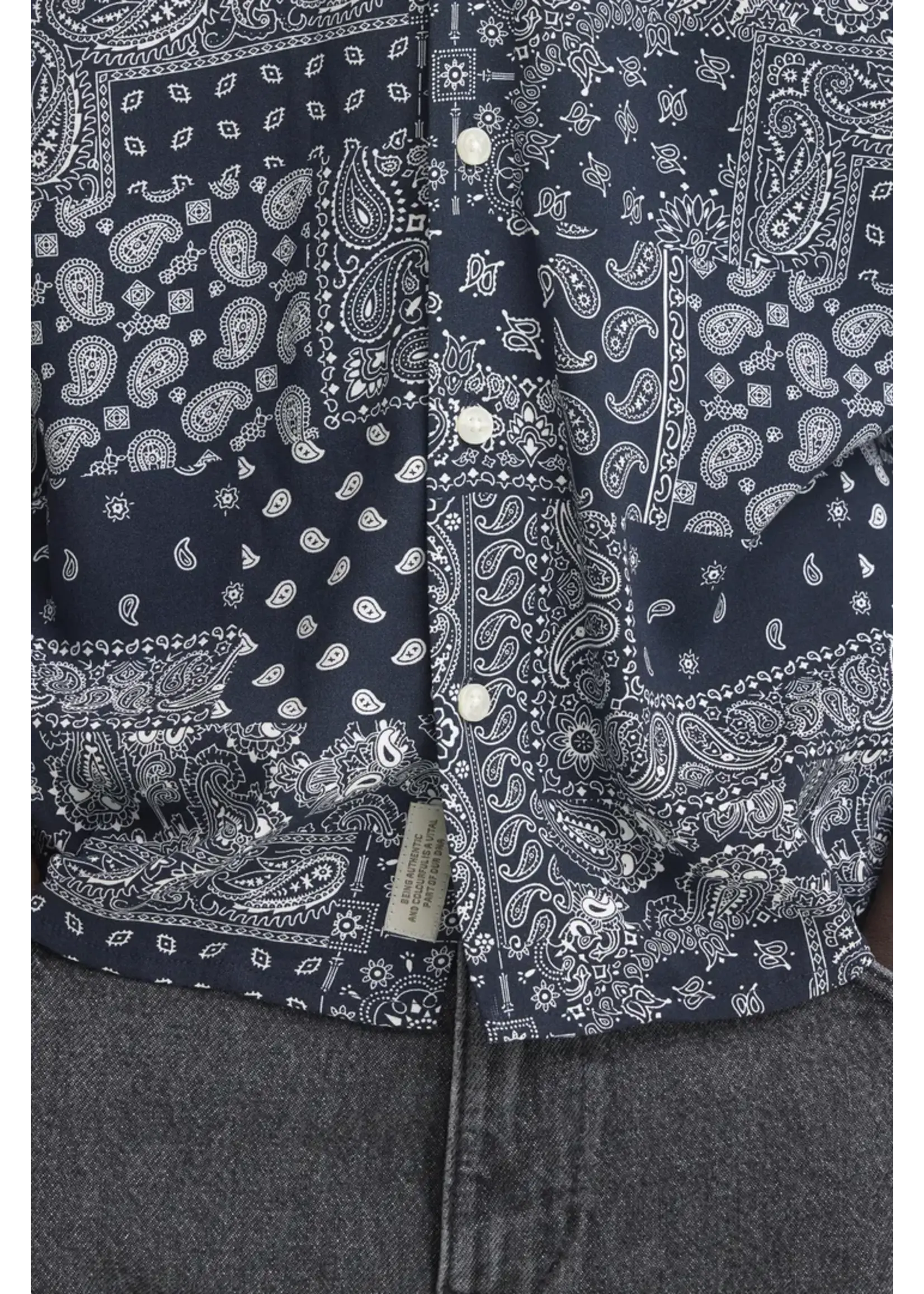 Blend Blend Aslak Shirt Print - Salute