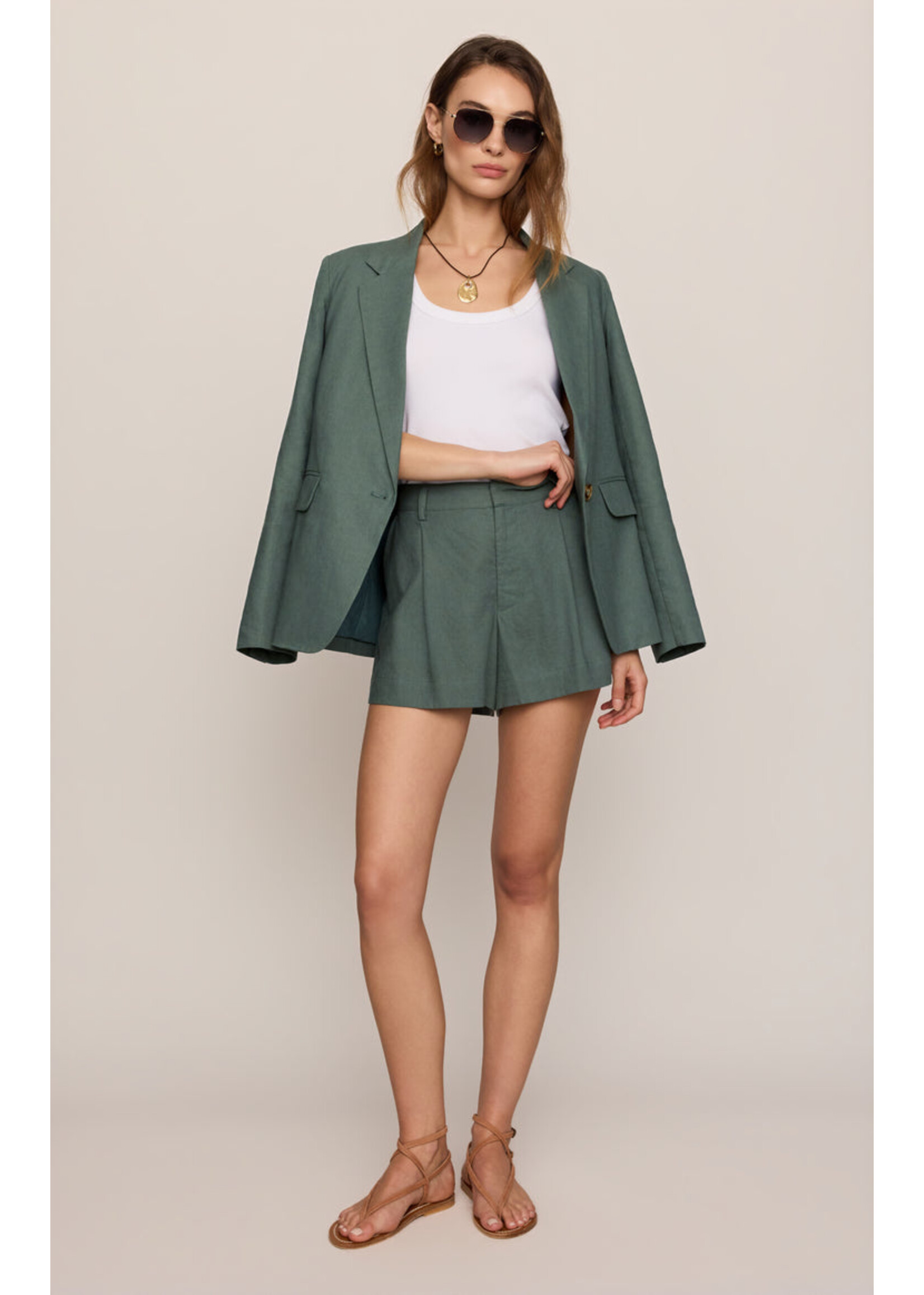 Z-Supply Z-Supply Short en Lin Vantage - Everglade