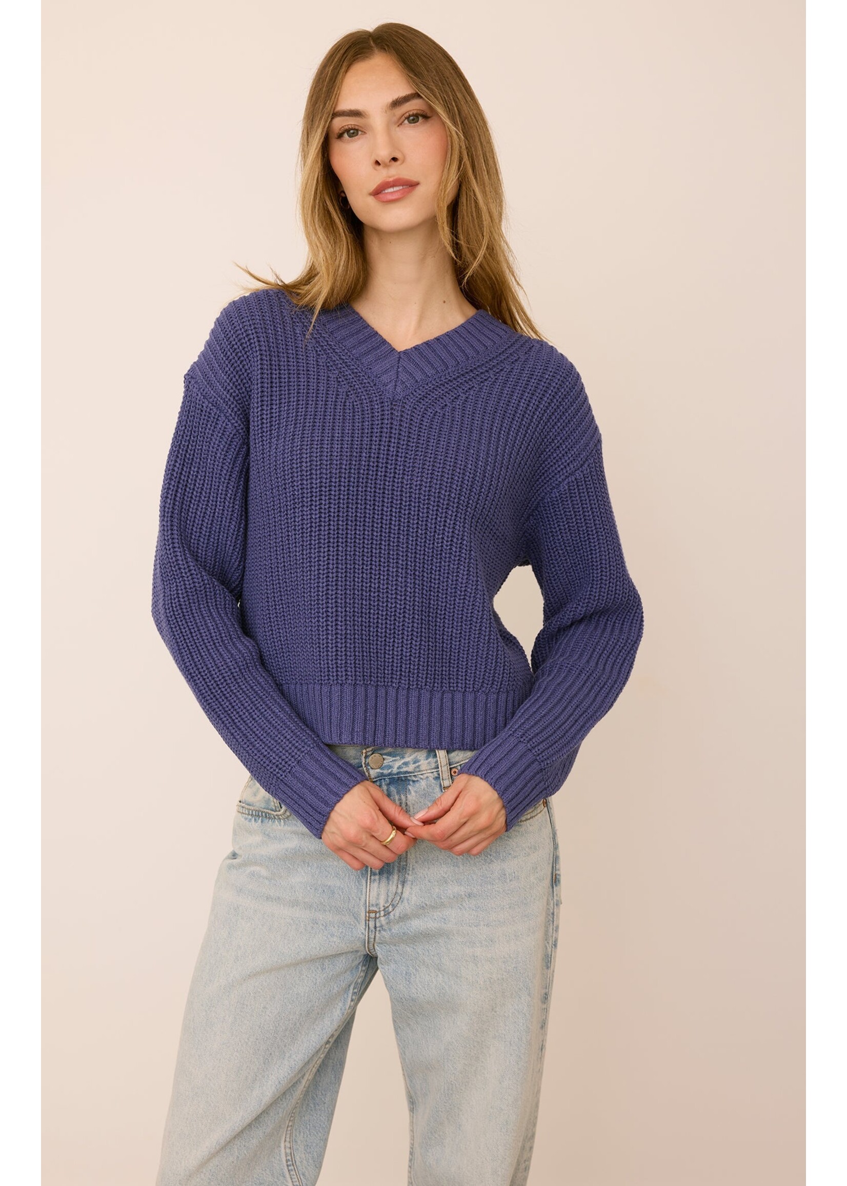 Gentle Fawn Jocelyn V-Neck Pullover - Iris