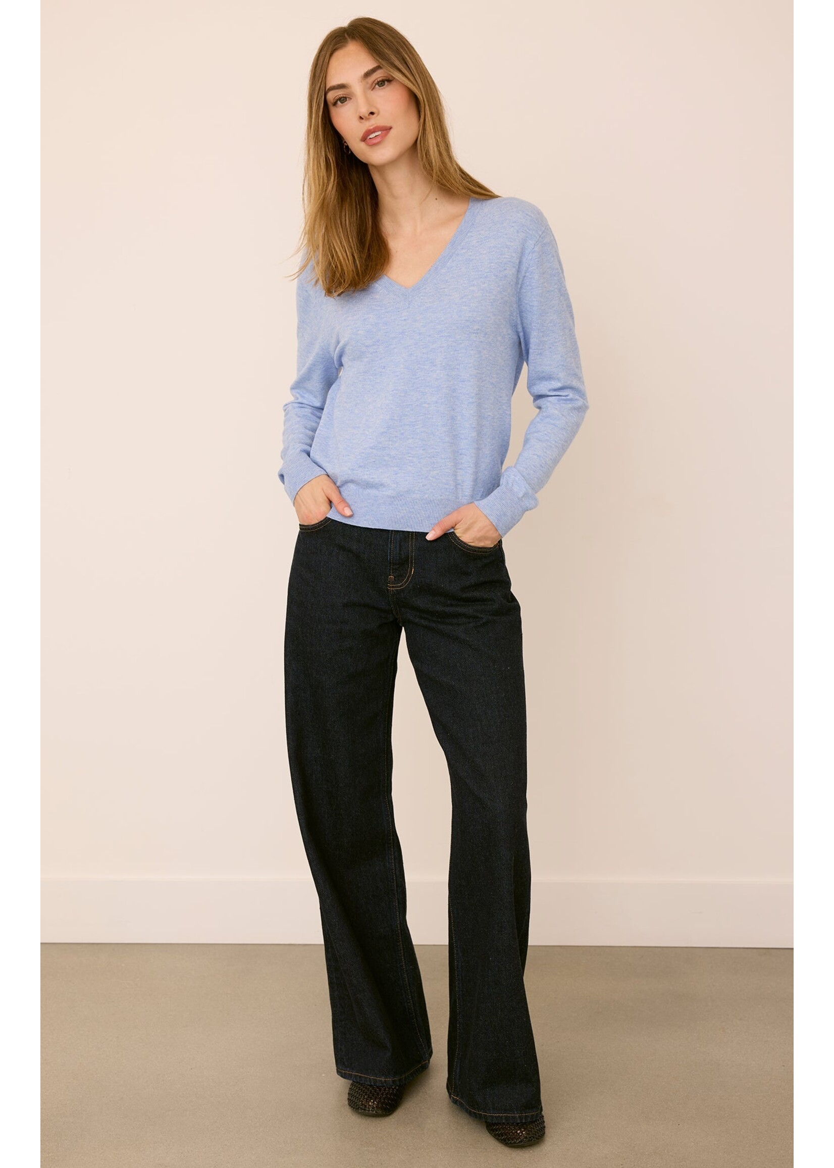Gentle Fawn Carina V-Neck Sweater - Heather Blue