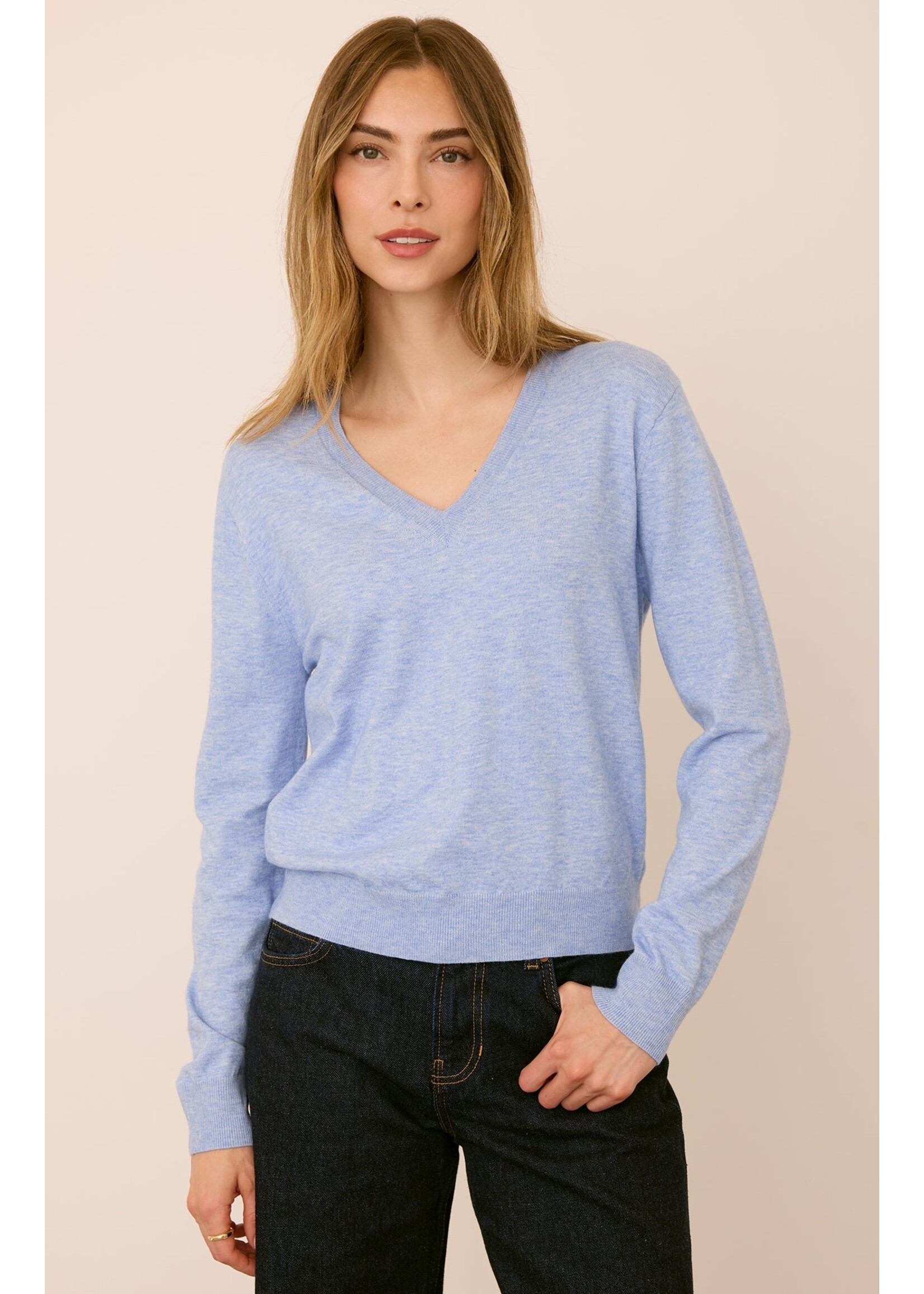 Gentle Fawn Carina V-Neck Sweater - Heather Blue