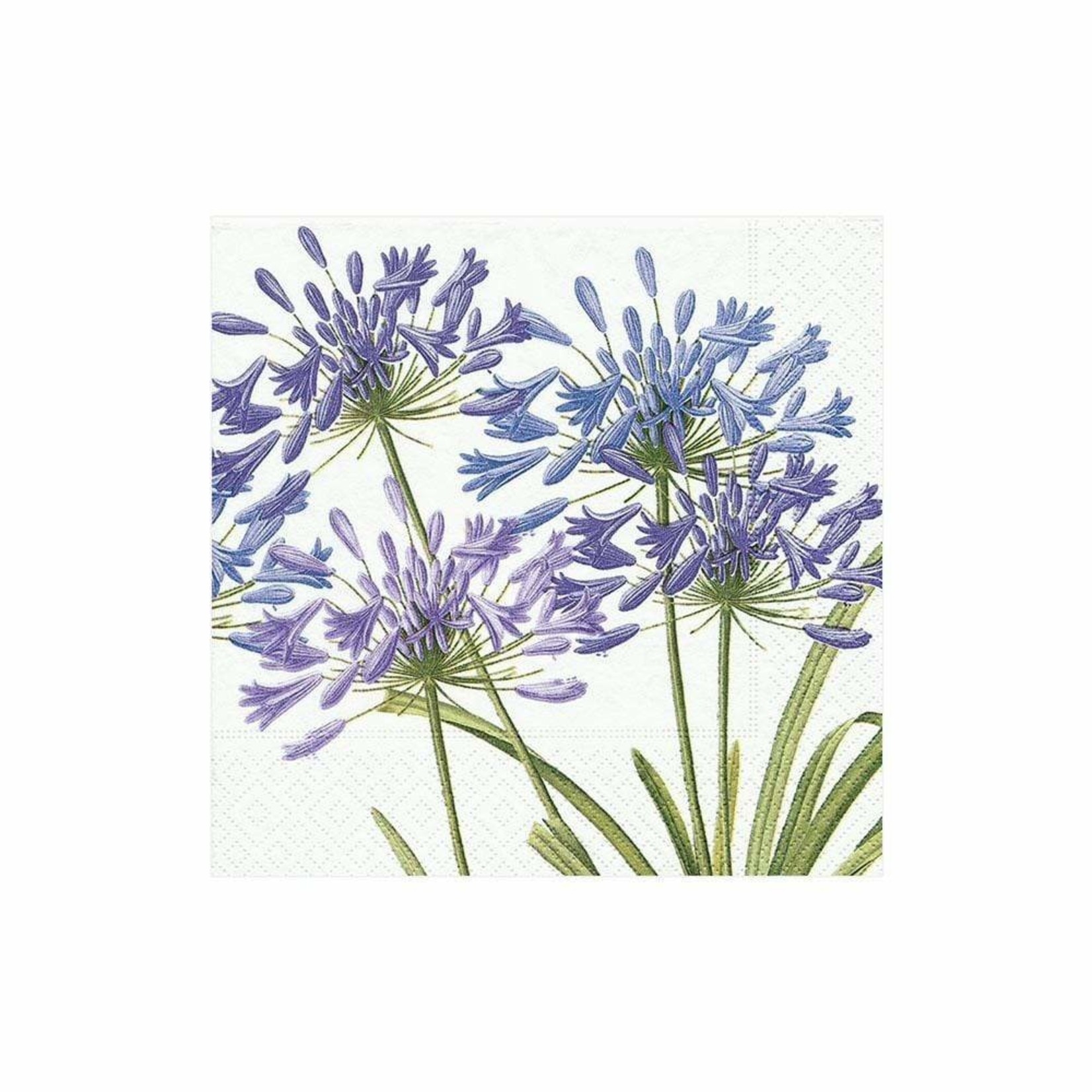 Caspari Agapanthus Garden, Cocktail Napkins - 20/Pack