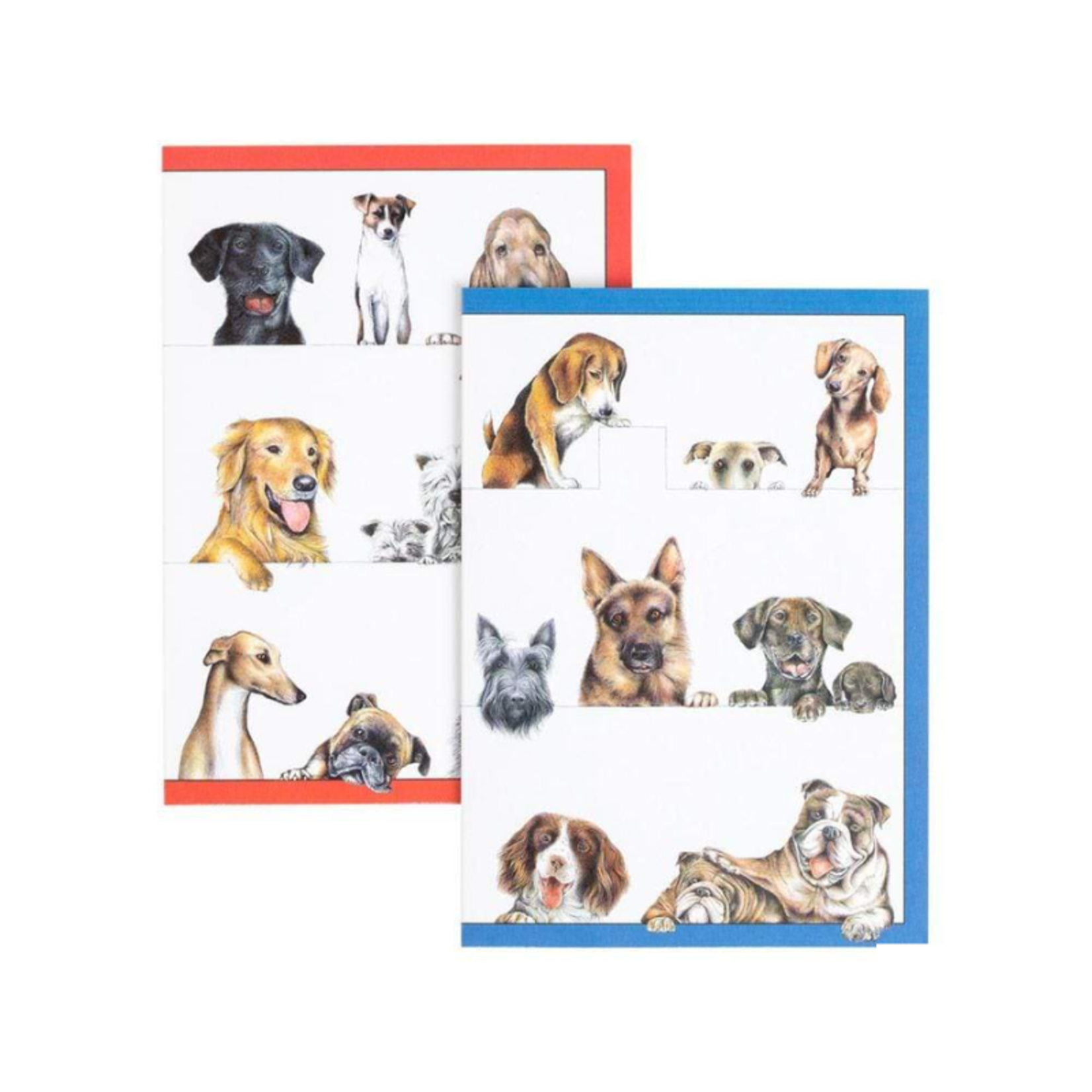 Caspari Dogs, Boxed Note Cards