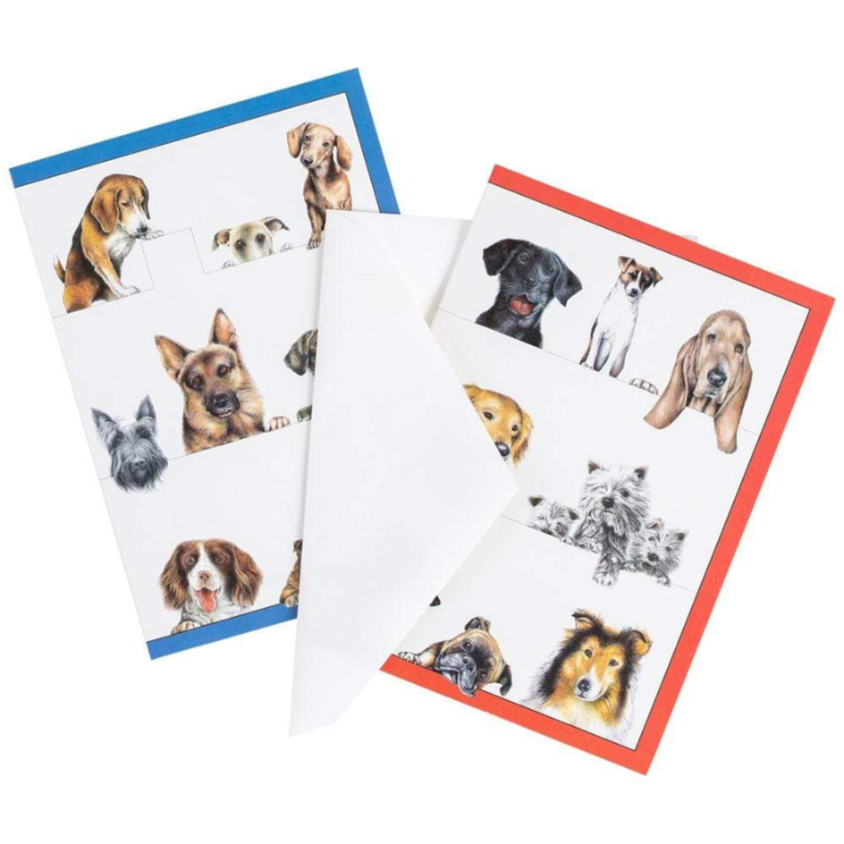 Caspari Dogs, Boxed Note Cards