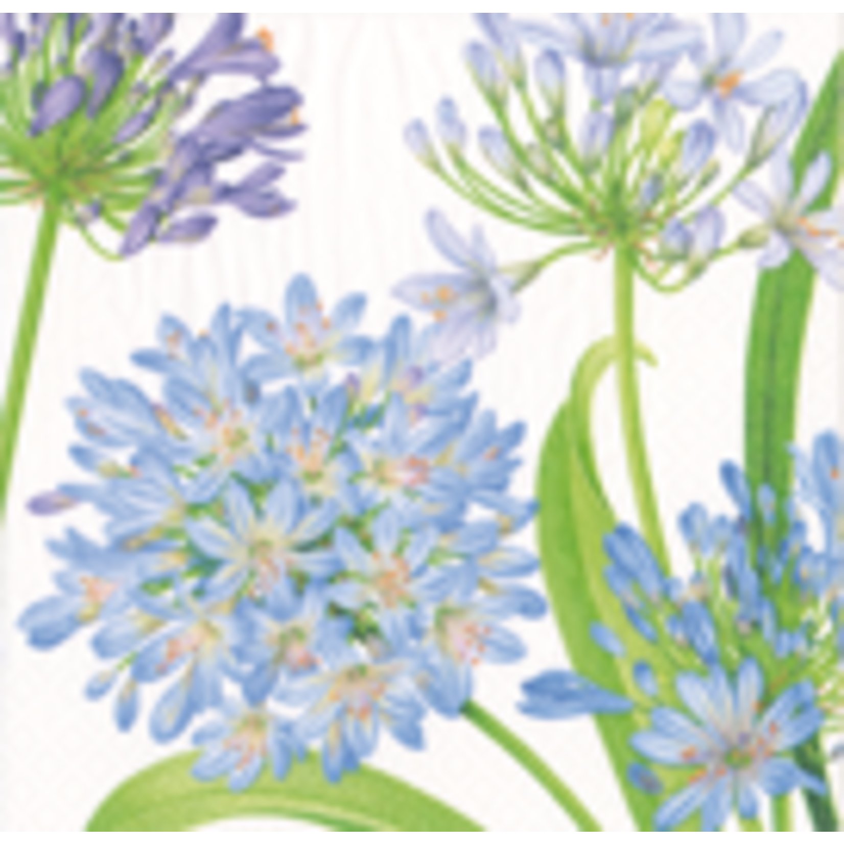 Caspari AGAPANTHUS GARDEN NAPKIN LUNCHEON