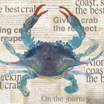 PaperProduct Design BEV- BEST BLUE CRAB