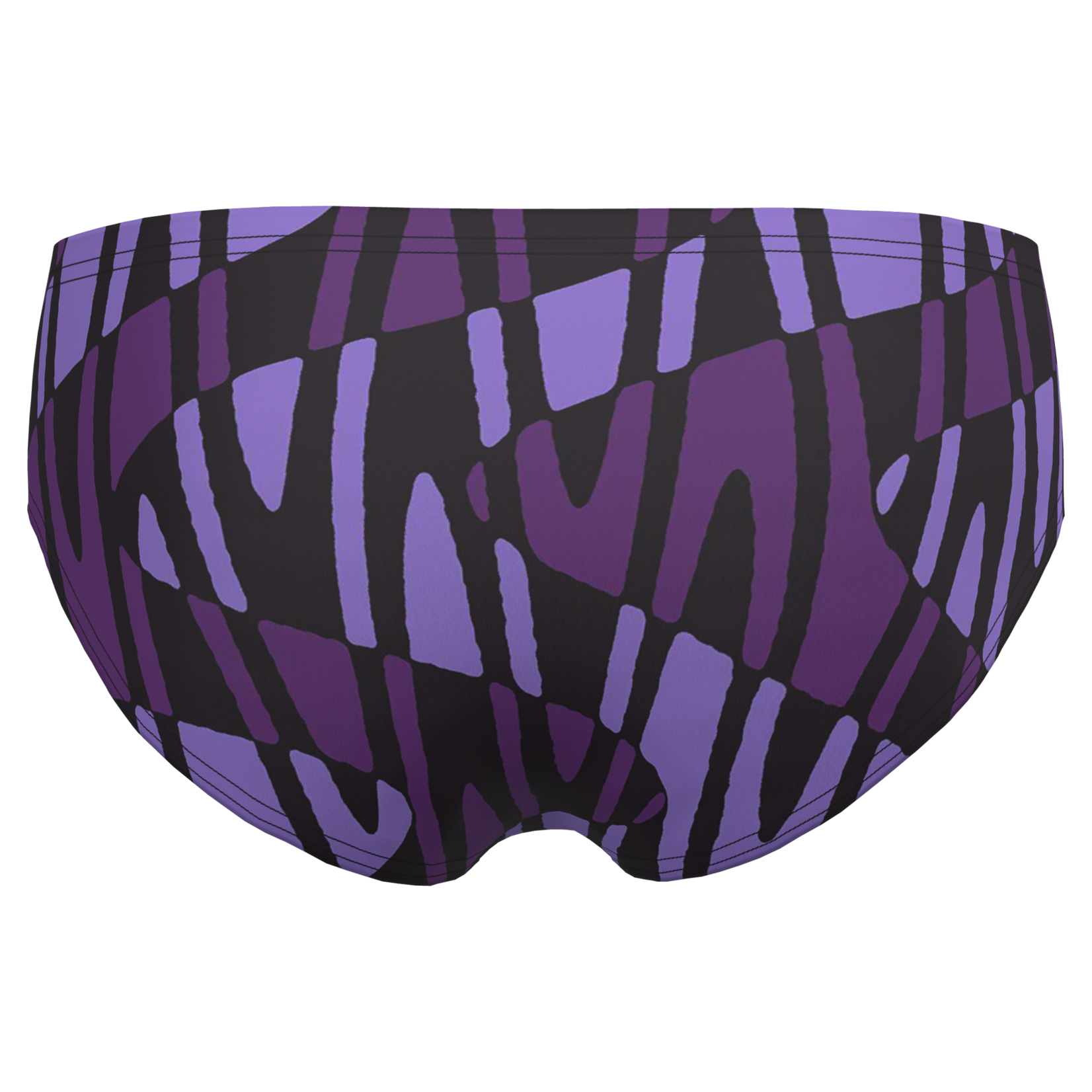 Speedo Team Disco Boom Brief