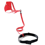 Finis Parachute