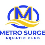 Metro Surge