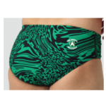 TCSD TCSD Hydrochasm Brief Green
