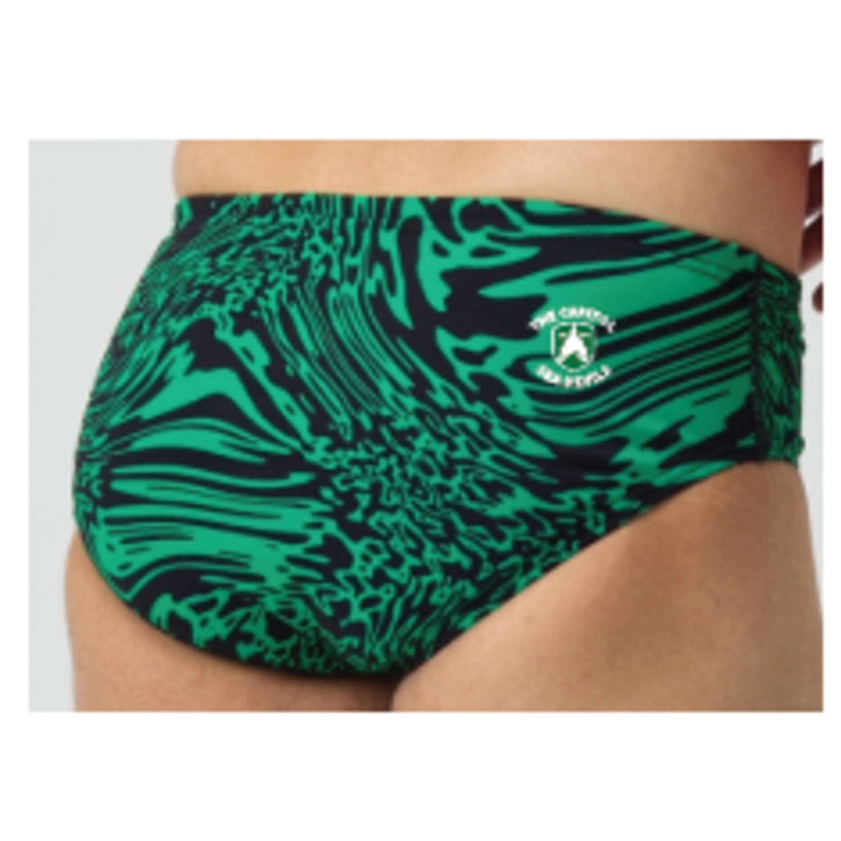 TCSD TCSD Hydrochasm Brief Green
