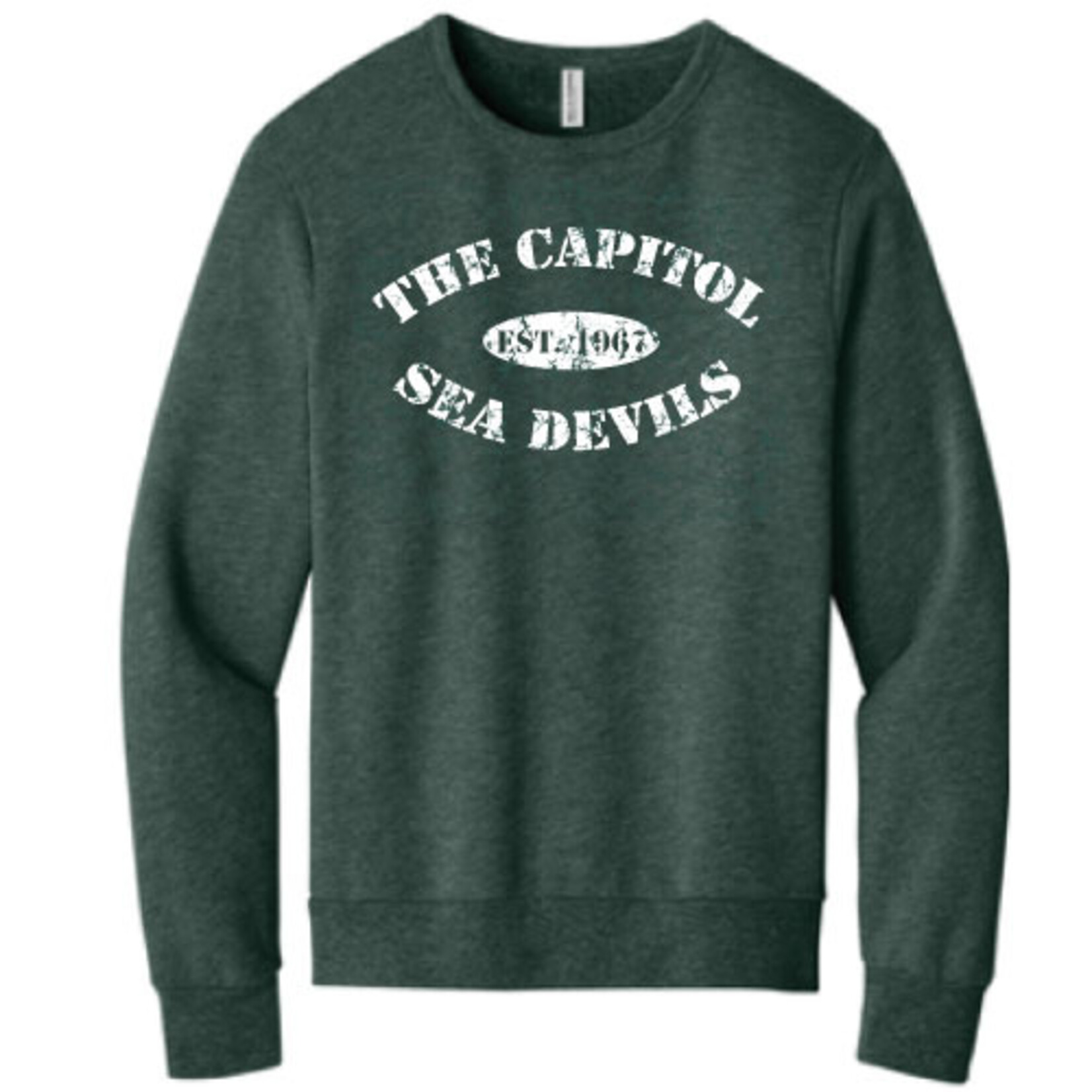 TCSD TCSD 2024 Sponge Fleece Raglan Crew