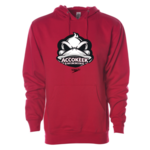 ASTS ASTS Midweight Hoodie
