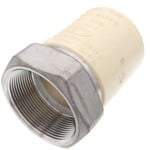 EVERFLOW 2 IN CPVC SCHEDULE 40 X STAINLESS STEEL FEMALE ADAPTER