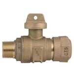 FORD 1 IN FORD BRASS CTS X MALE BALL VALVE