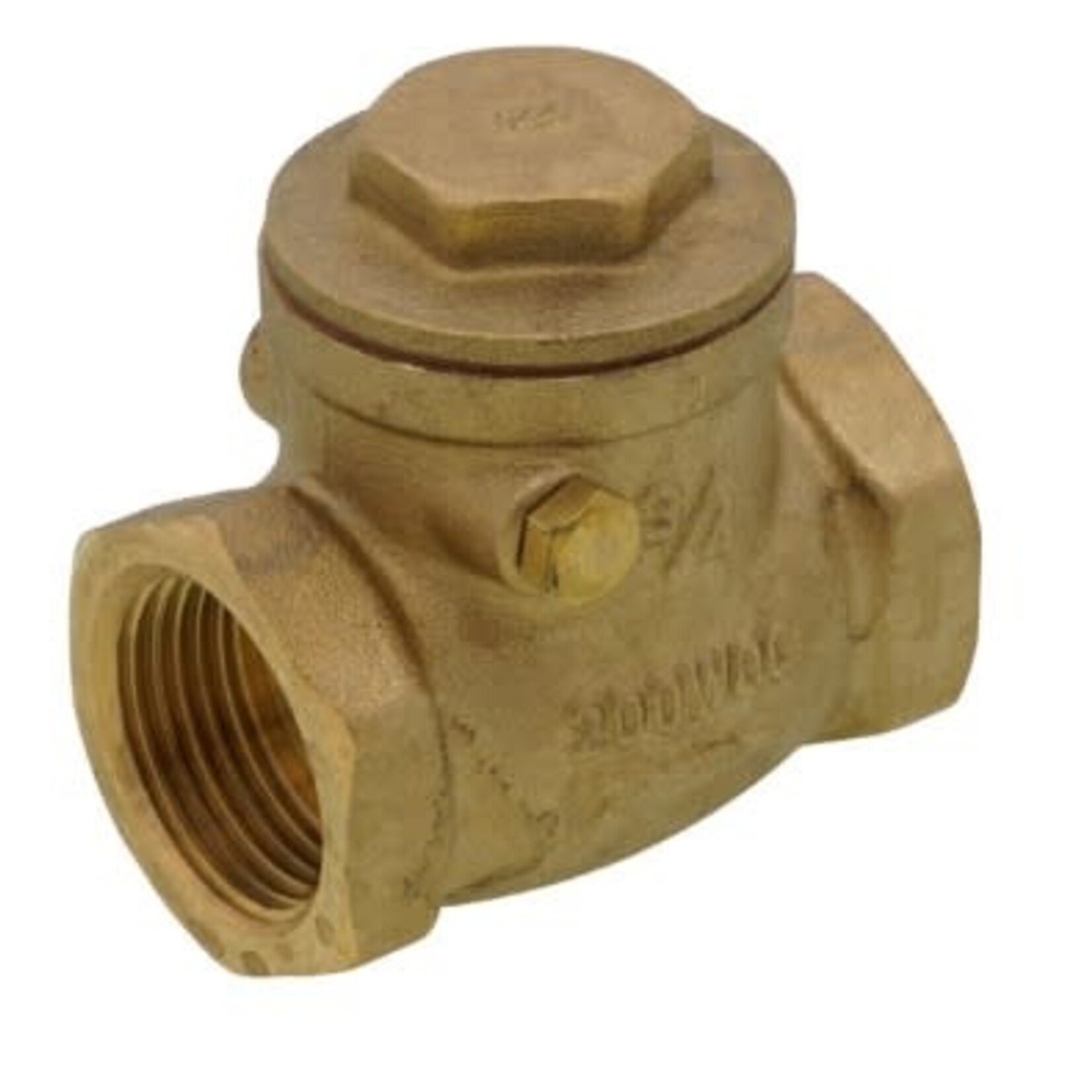 BLUEFIN 3/4 IN BRASS SWING CHECK VALVE ( FEMALE X FEMALE )