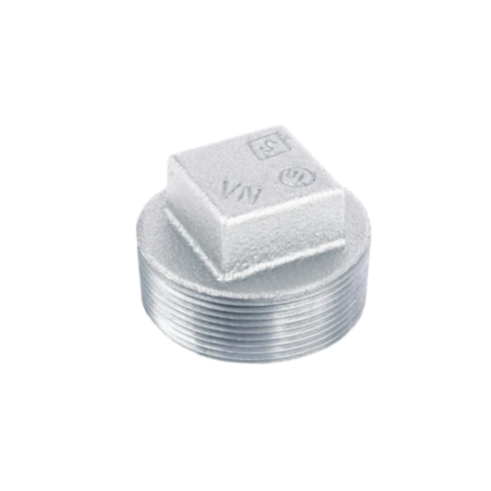 EVERFLOW 1/4 IN GALVANIZED PLUG