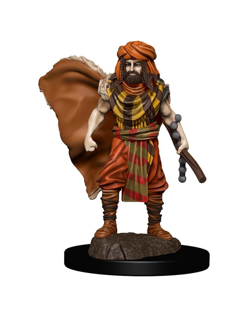 WizKids Icons of the Realms: Premium Painted (Wave 4): Human Druid Male