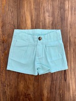 Aqua Shorts