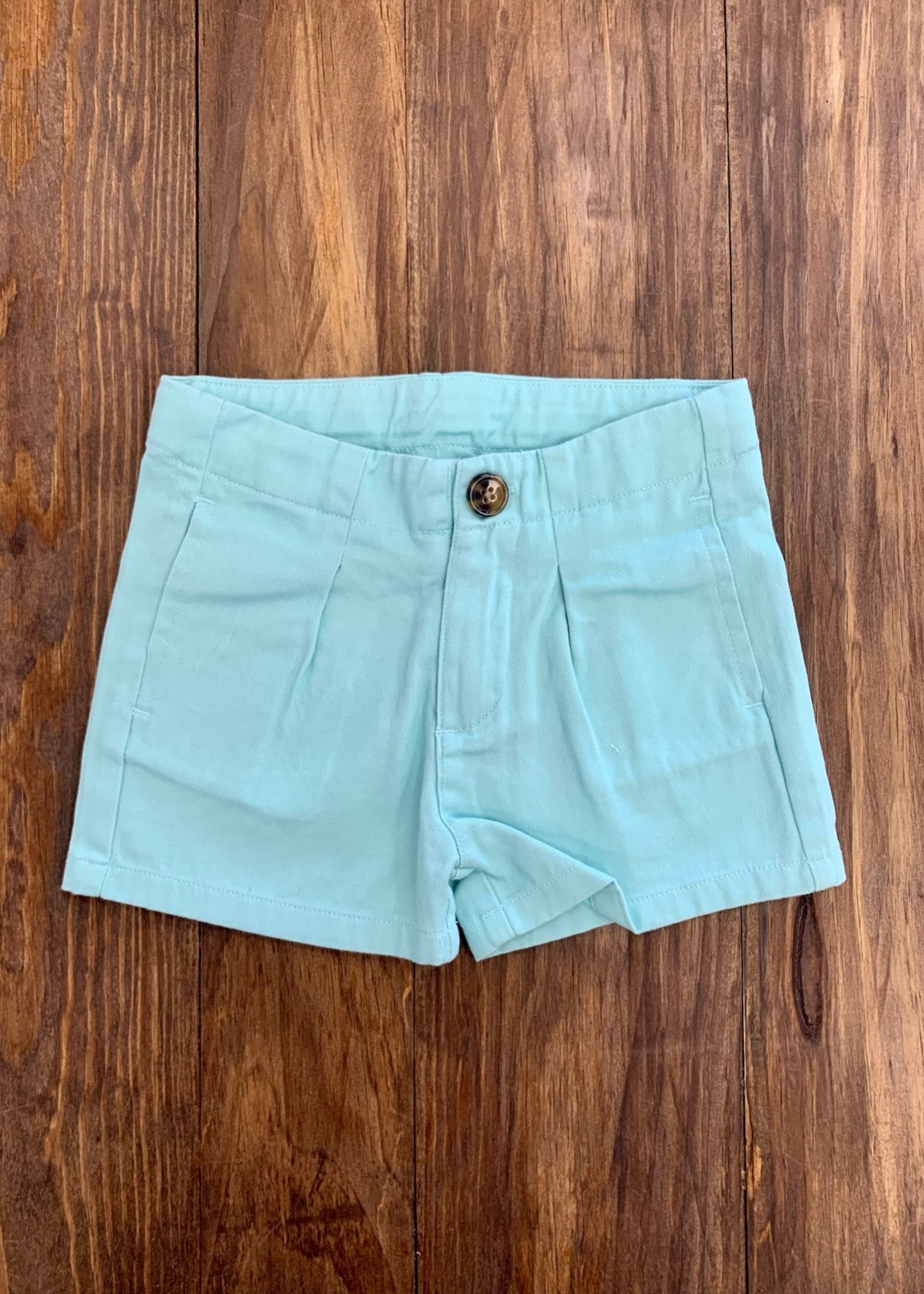 Aqua Shorts