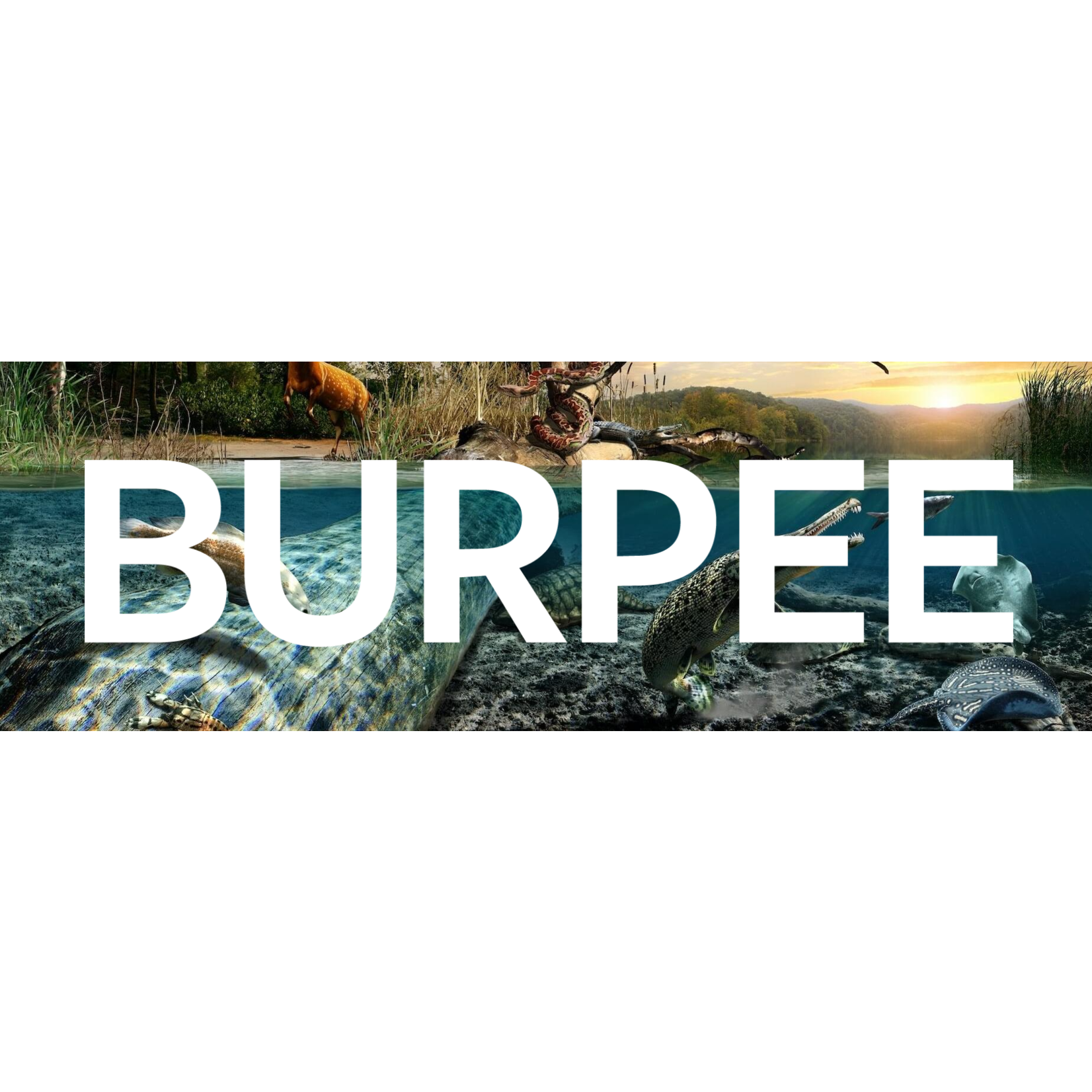 Burpee Museum of Natural History-Rockford Burpee Museum of Natural History-Rockford $26.00 Family Admission Pass