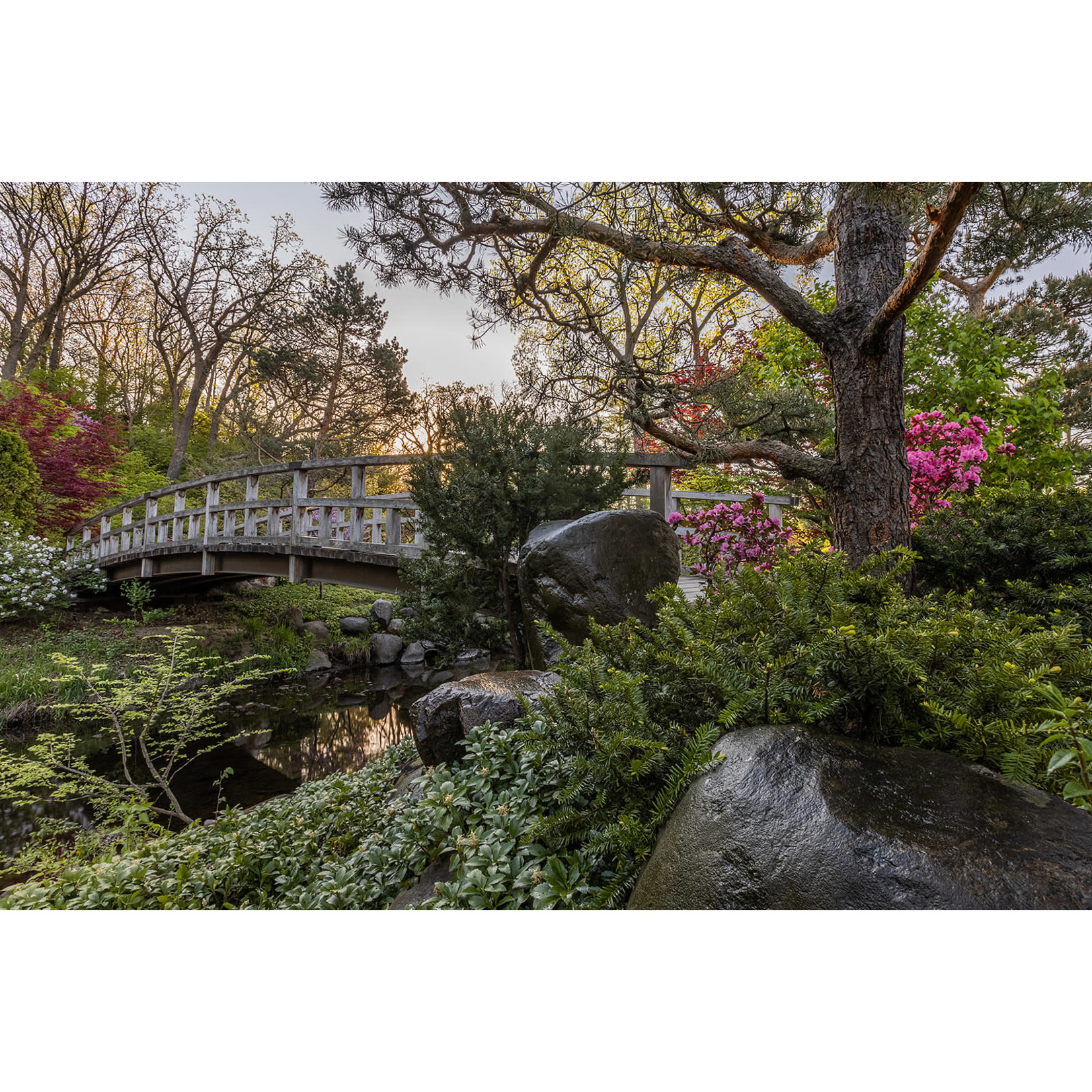 Anderson Japanese Gardens-Rockford $13.00 Adult (1) Day Admission