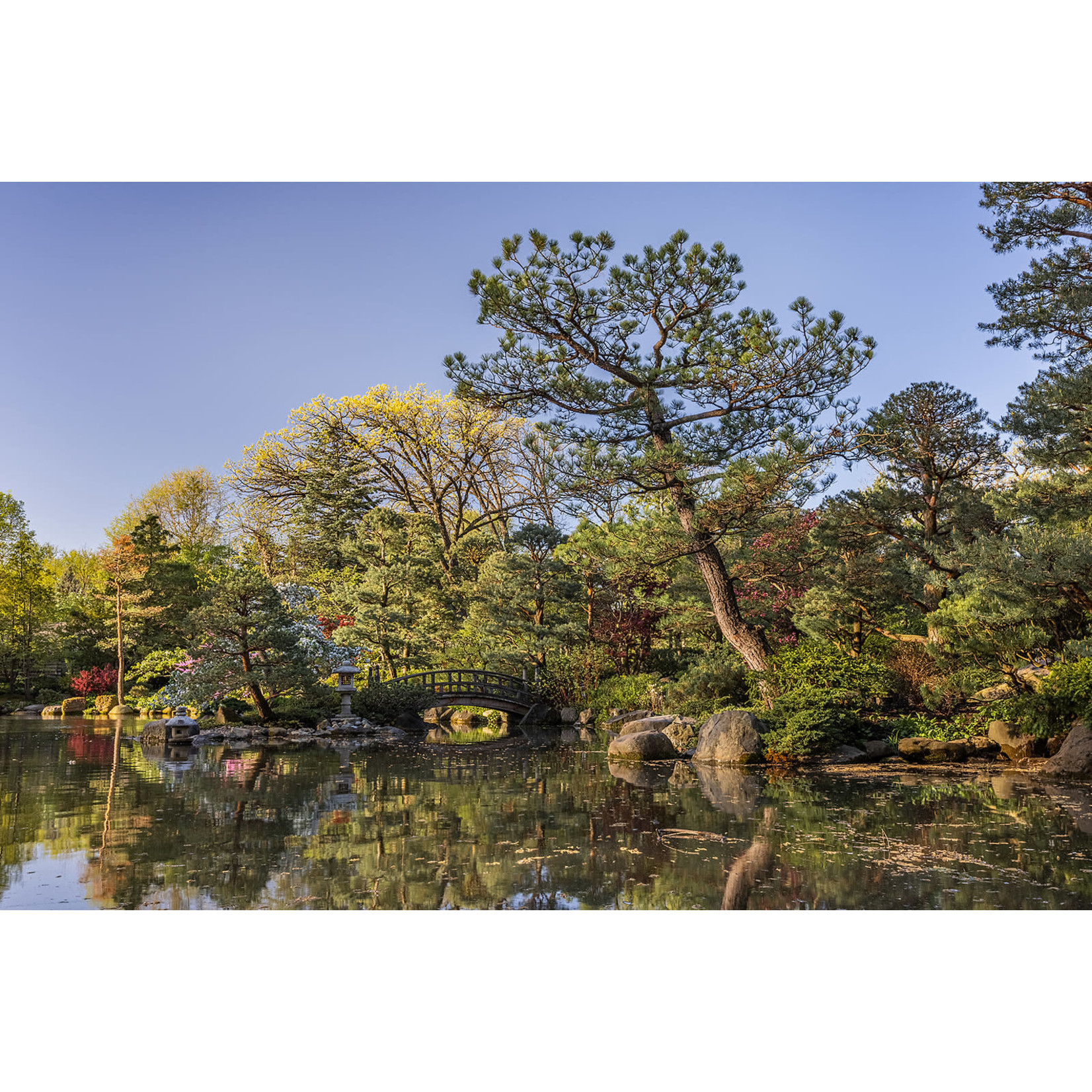 Anderson Japanese Gardens-Rockford $13.00 Adult (1) Day Admission